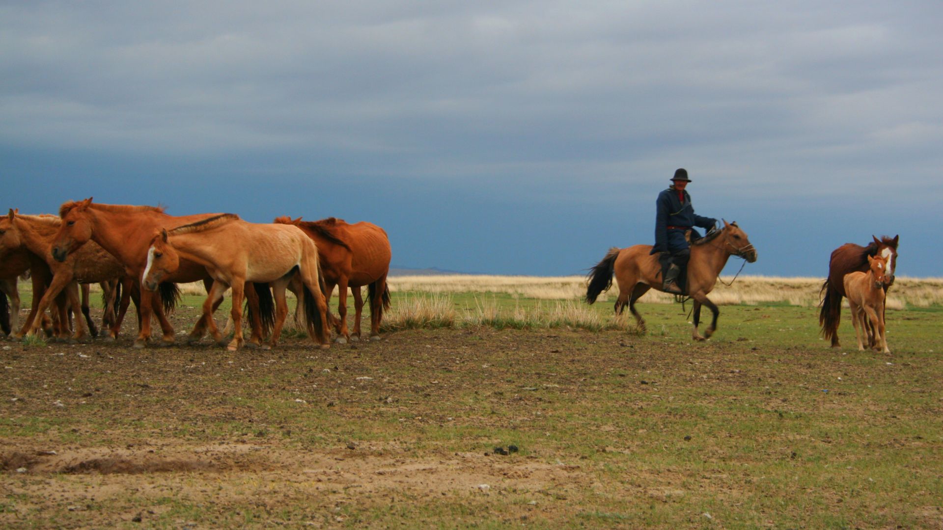 File:The Wrangler.jpg