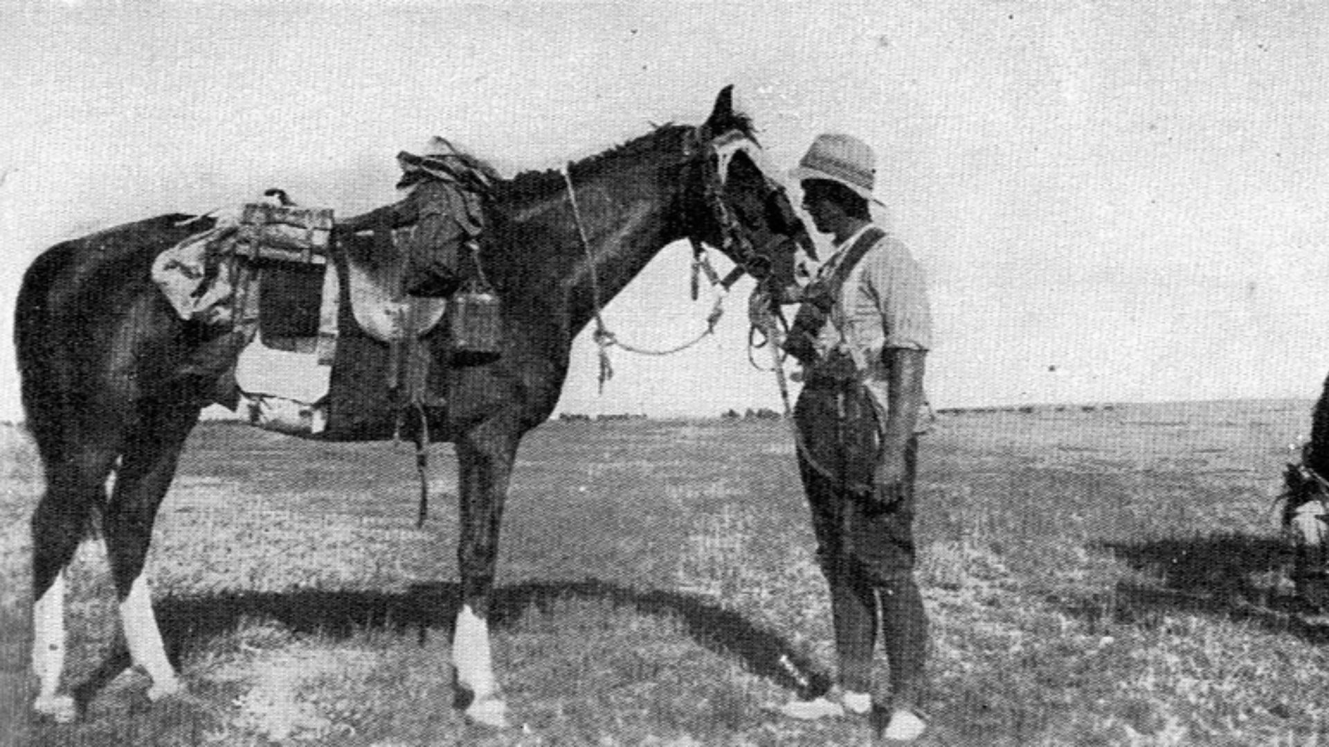 File:New Zealand mounted trooper with saddled horse 1917.jpg