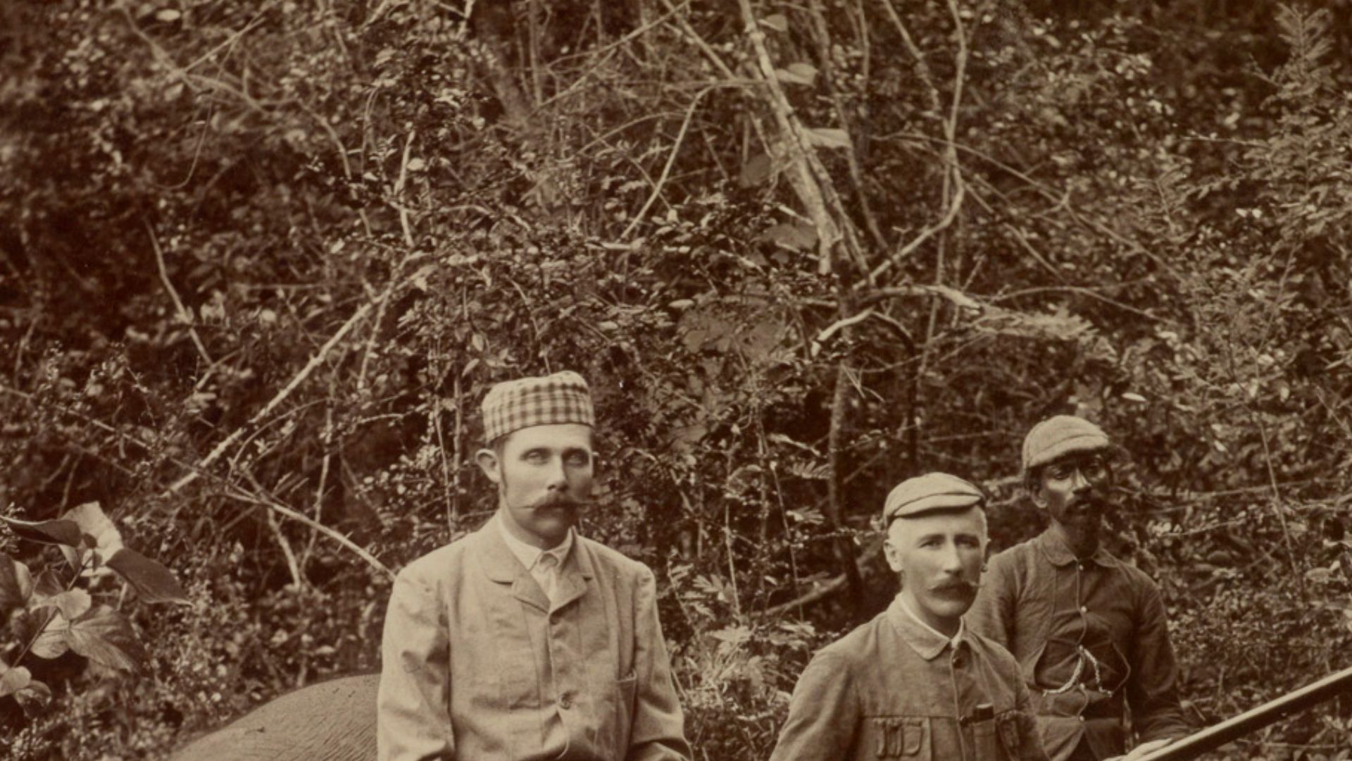 File:Franz Ferdinand Elephant hunter c1893.jpg