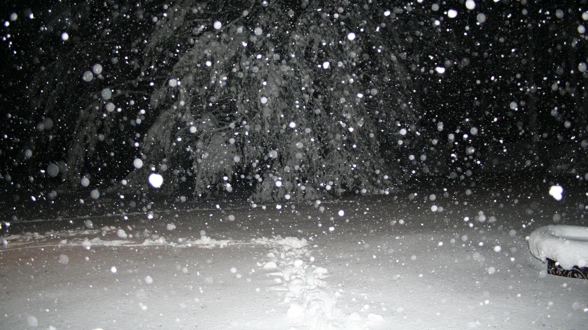 File:Last snowfall.jpg