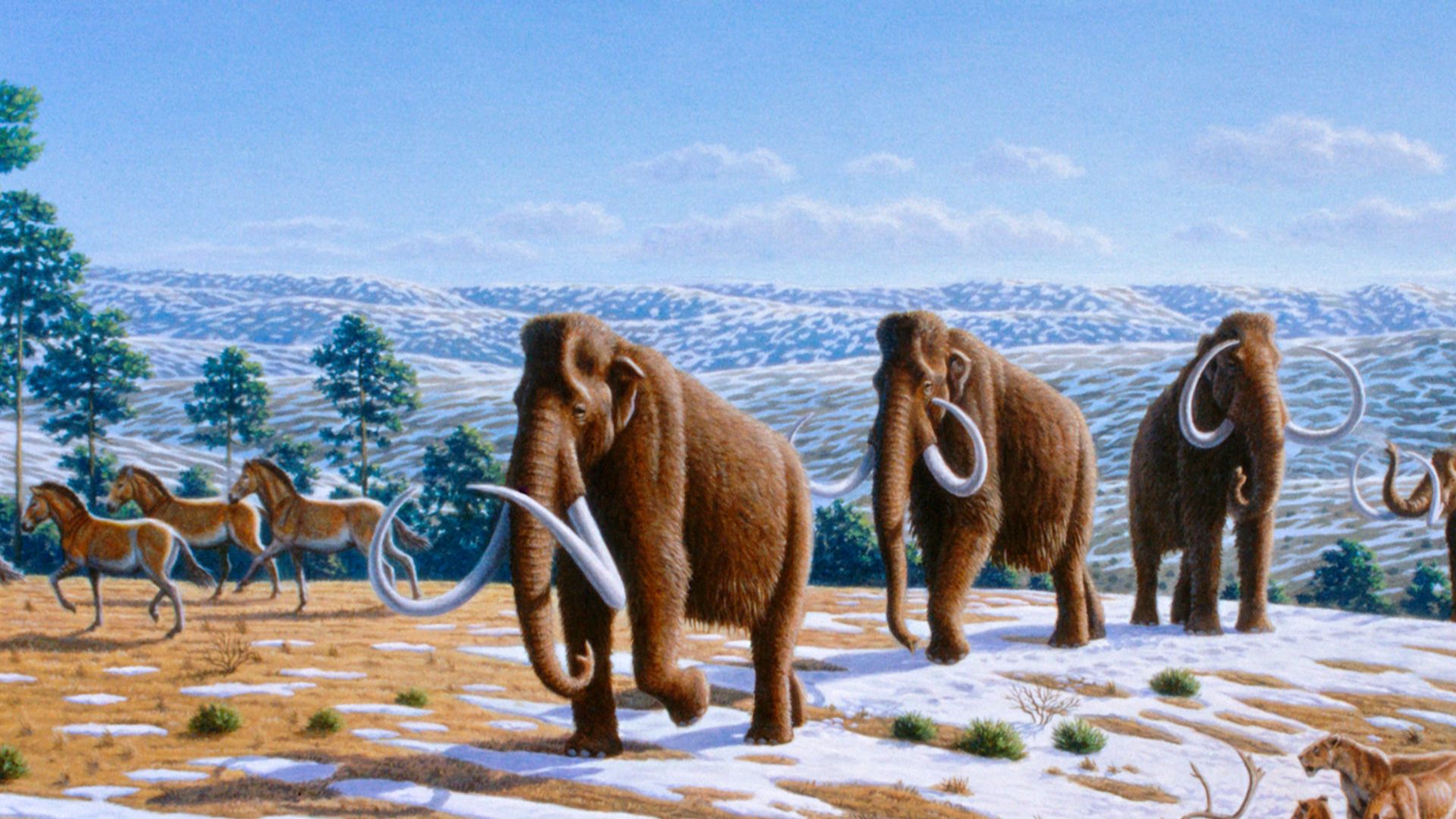 File:Ice age fauna of northern Spain - Mauricio Antón.jpg