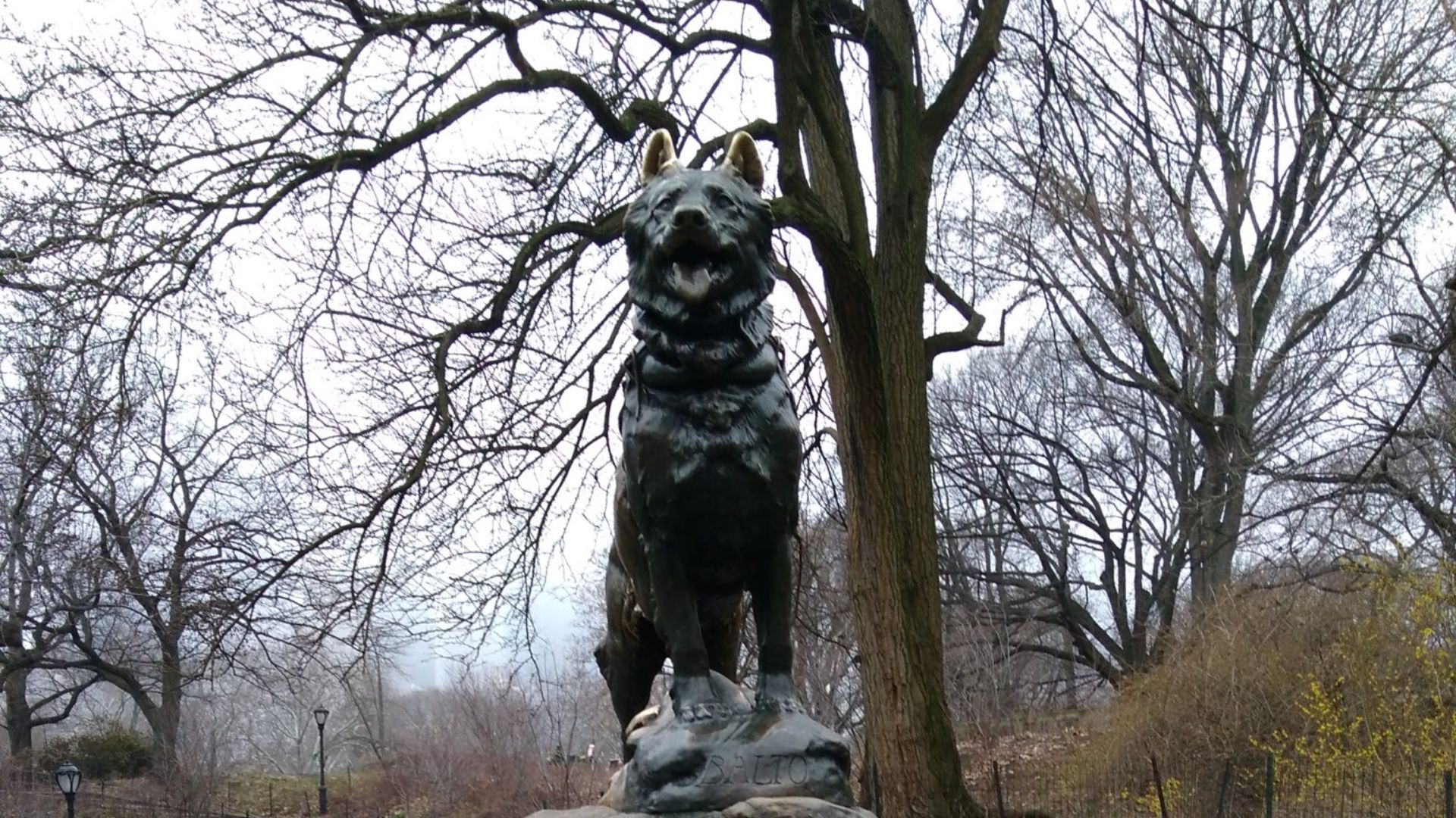 File:Balto memorial in Central Park.jpg