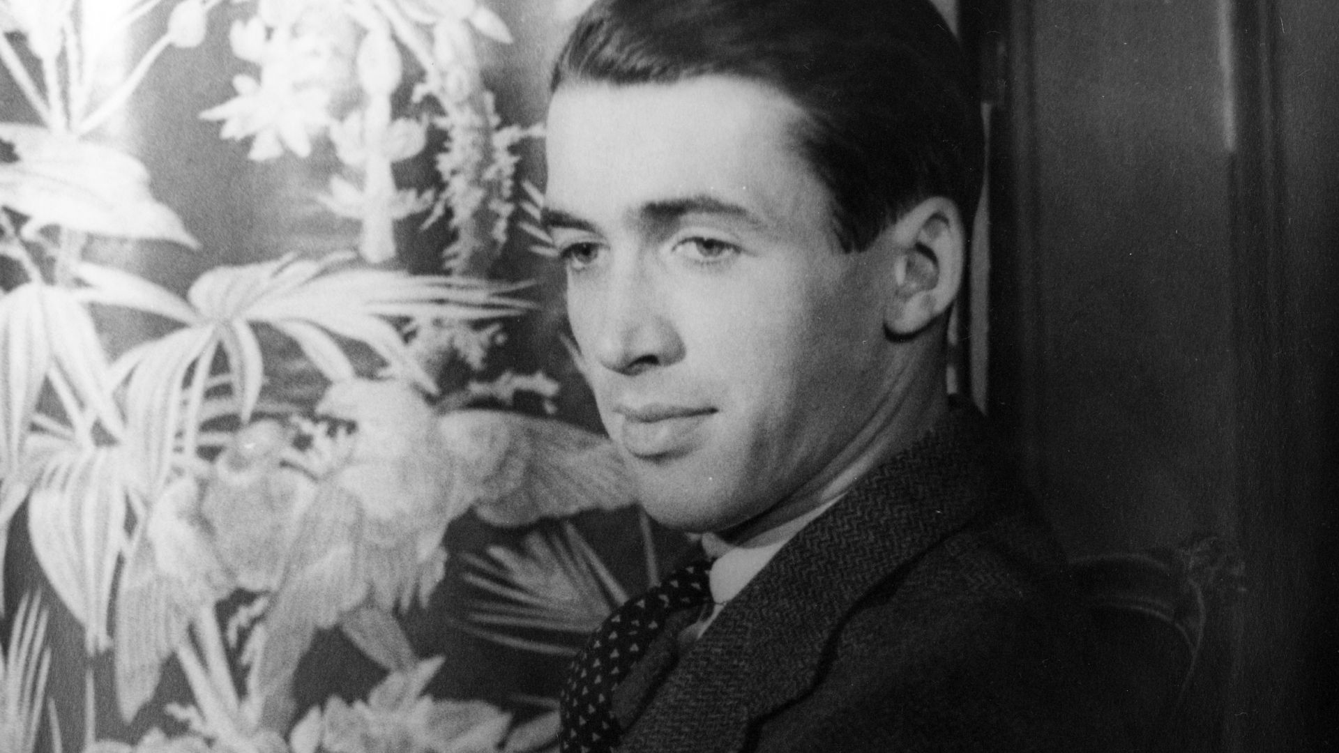 File:Jimmy Stewart.jpg