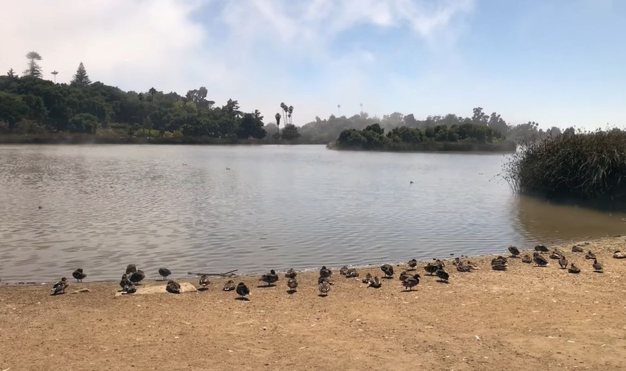 A Quiet Walk by Andree Clark Bird Refuge in Santa Barbara
