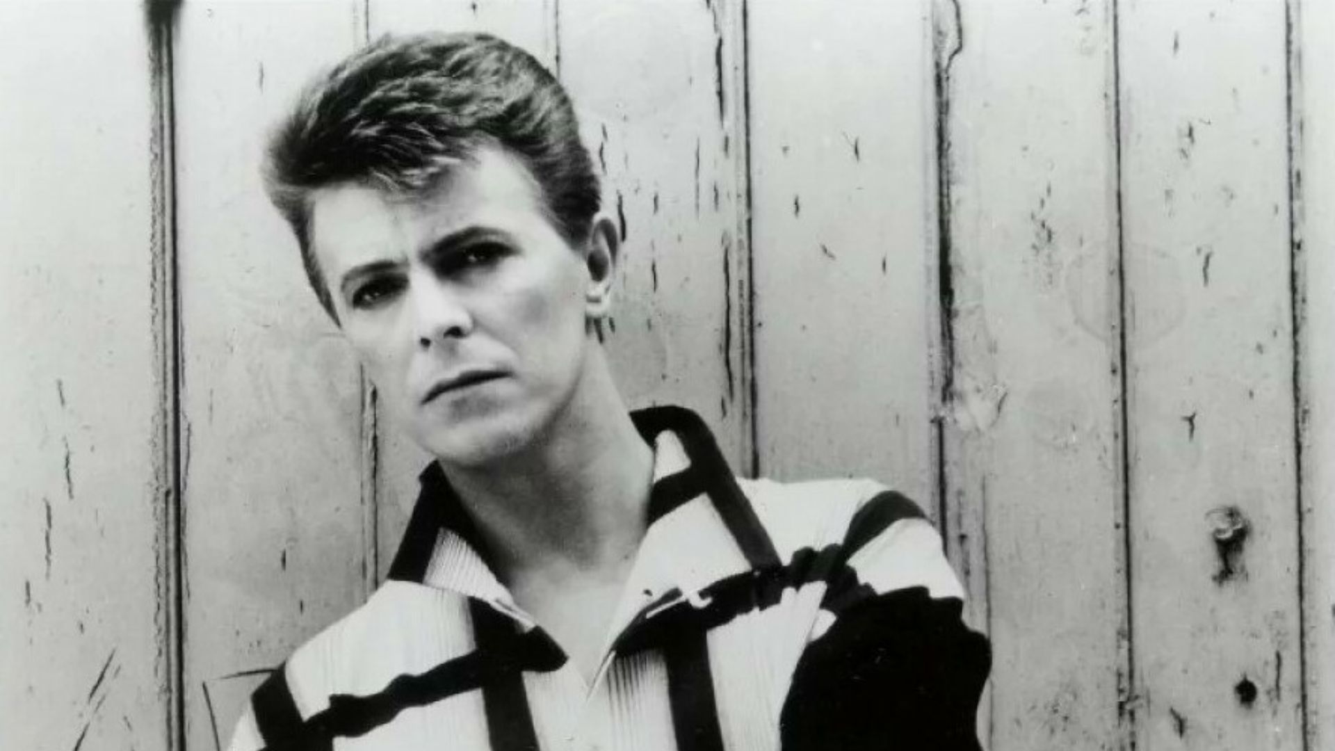 File:David Bowie - 1984 Tonight Promo 002.jpg
