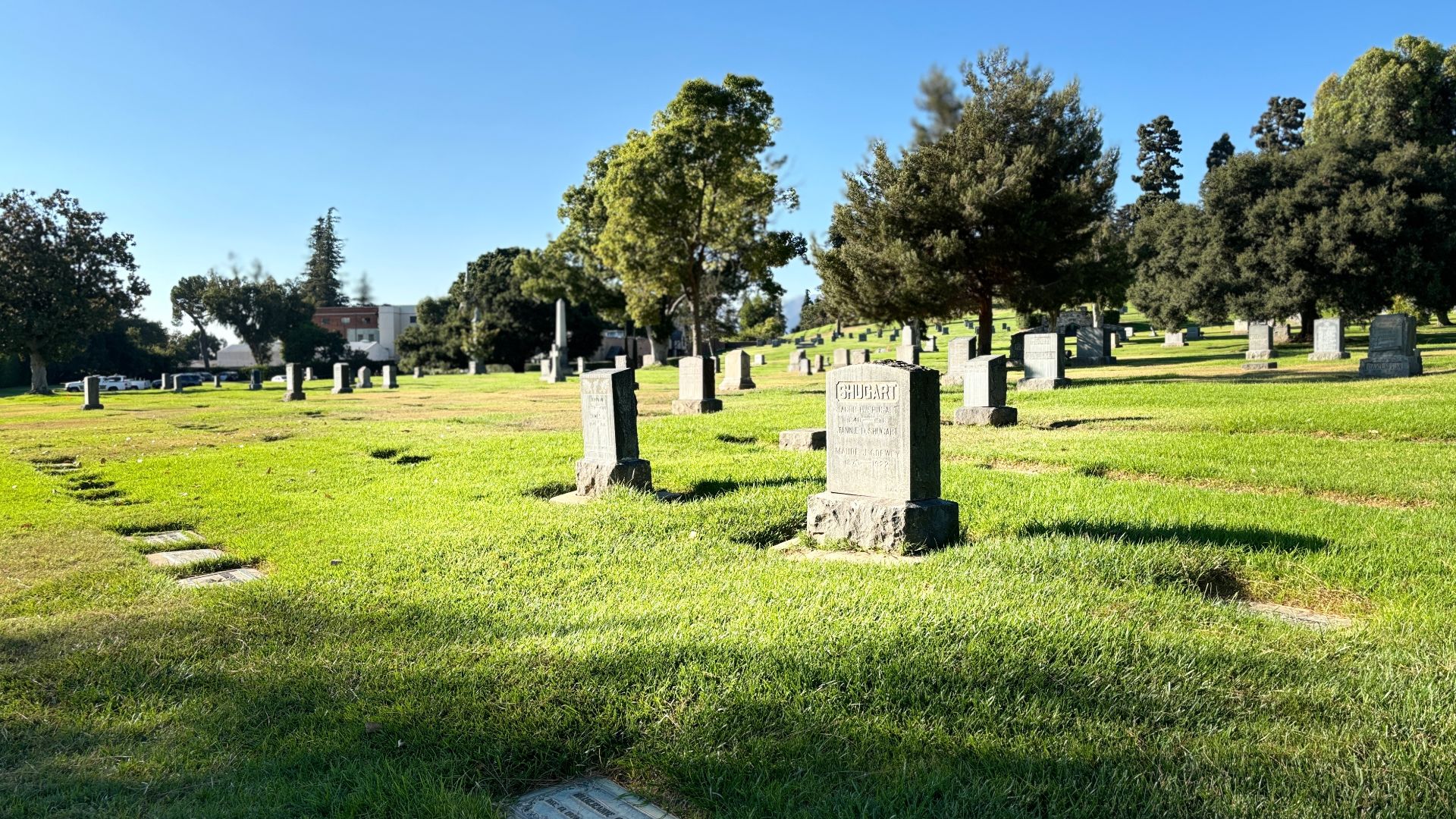 File:Graves at Forest Lawn Memorial Park (Glendale) in July 2024.jpg
