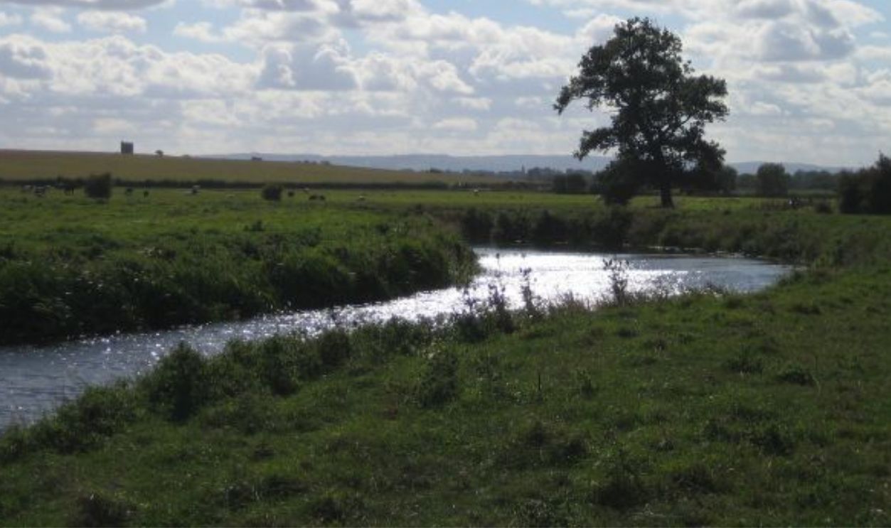 Cutty Dyer's River Hunt (Cont.)