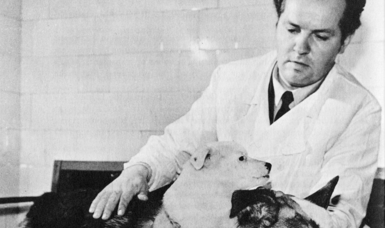 Russian surgeon vladimir demikhov who grafted the head and fore-paws of one dog onto another in 1959, the dog lived for23 days after the surgery.
