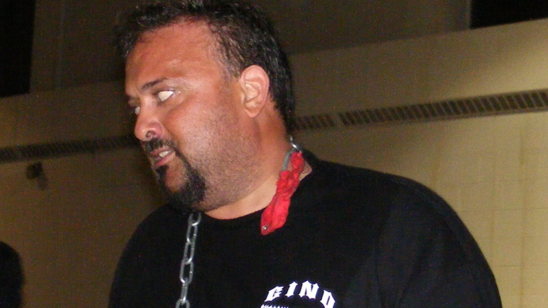 File:Gino Martino.jpg