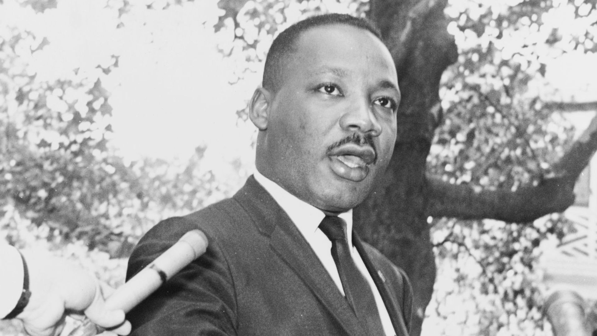 File:Martin Luther King Jr NYWTS 2.jpg