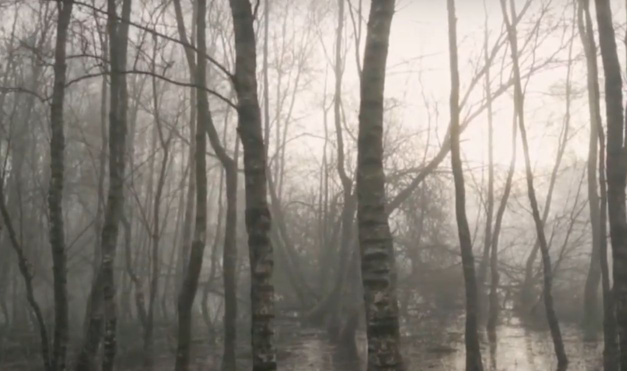 Jenny Greenteeth's Pond