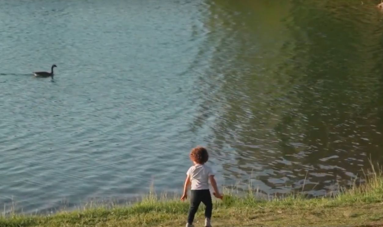 Jenny Greenteeth's Pond (Cont.)