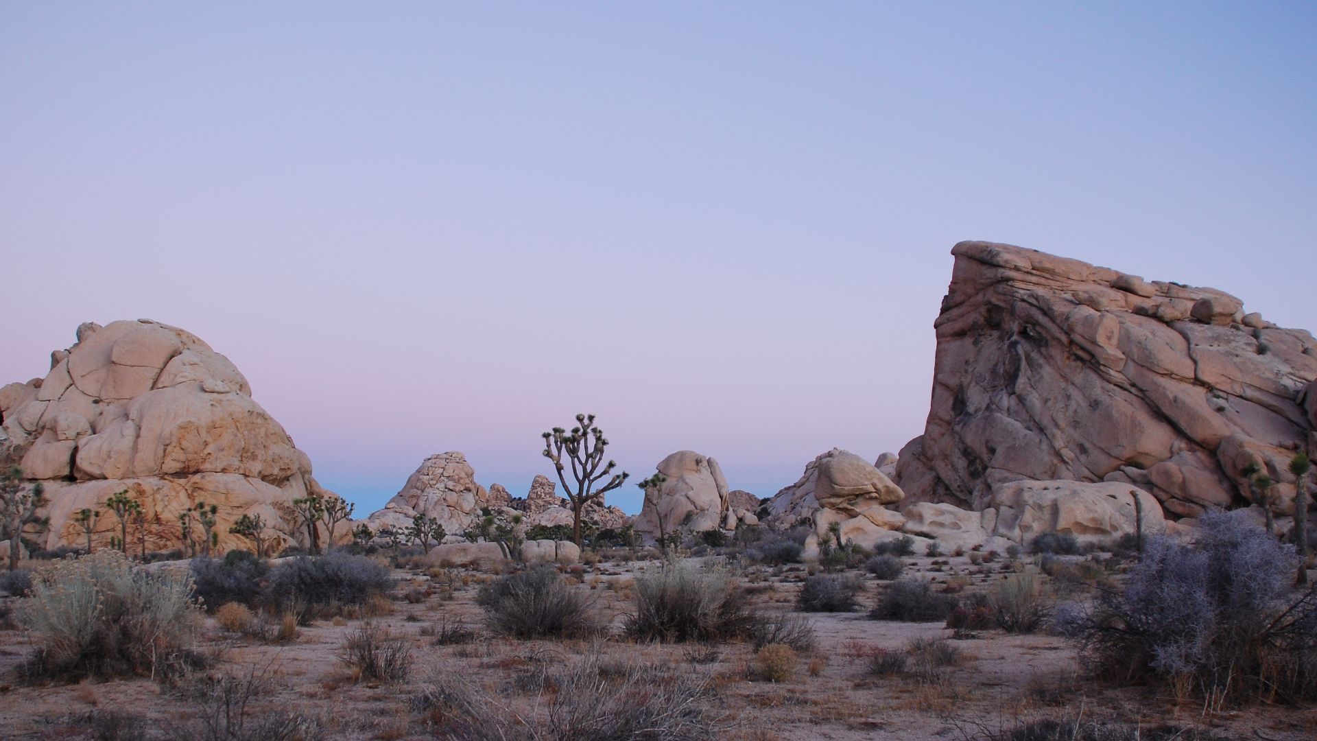 File:Joshua Tree - Cyclops + Potato Head - Sunrise.jpg