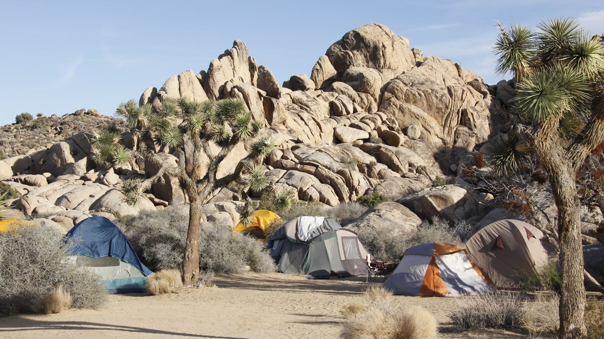 File:Sheep Pass Campground in Joshua Tree National Park - 13.jpg