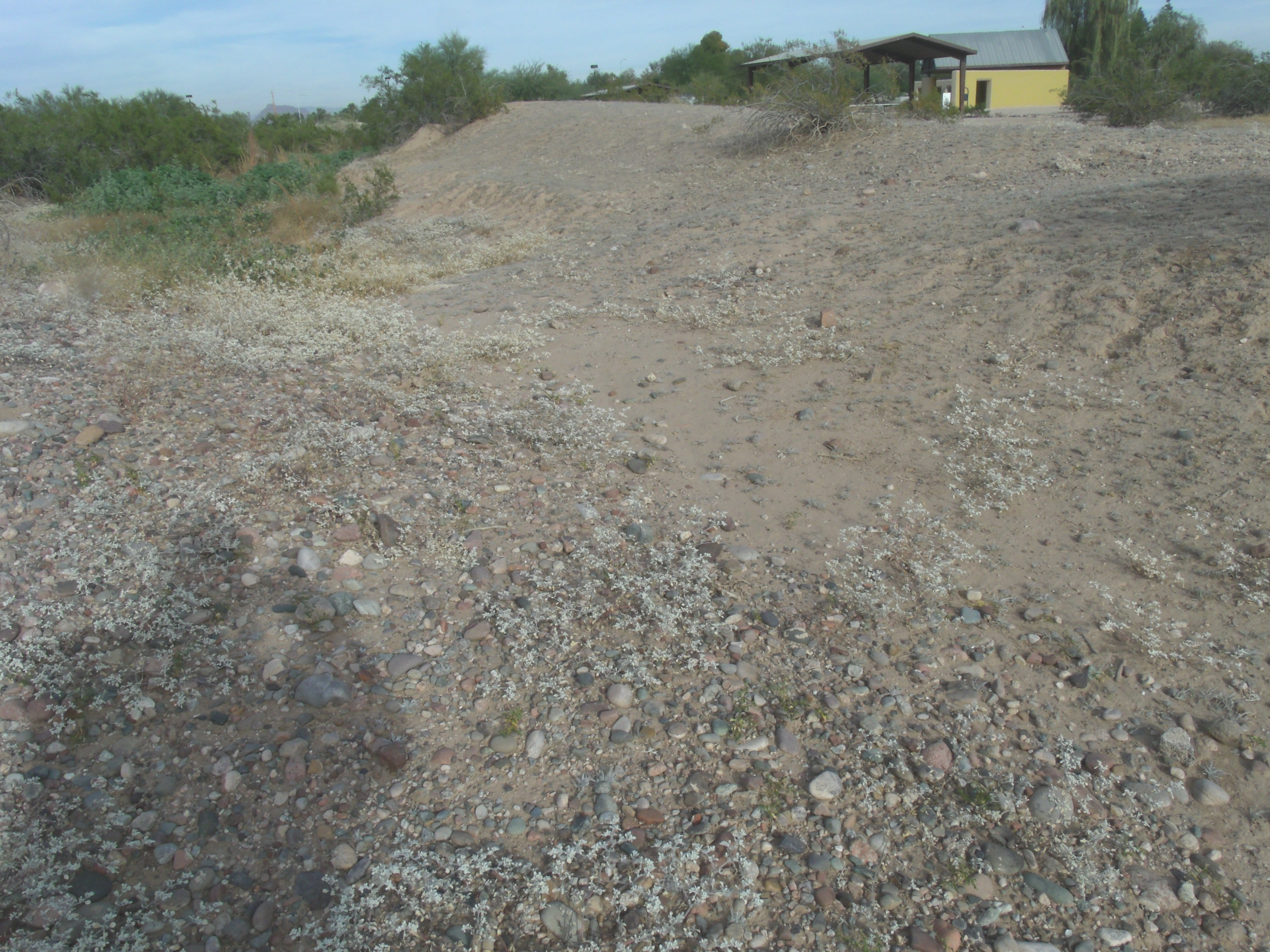 File:Mesa-Park of the Canals-prehistoric Hohokam canal.JPG