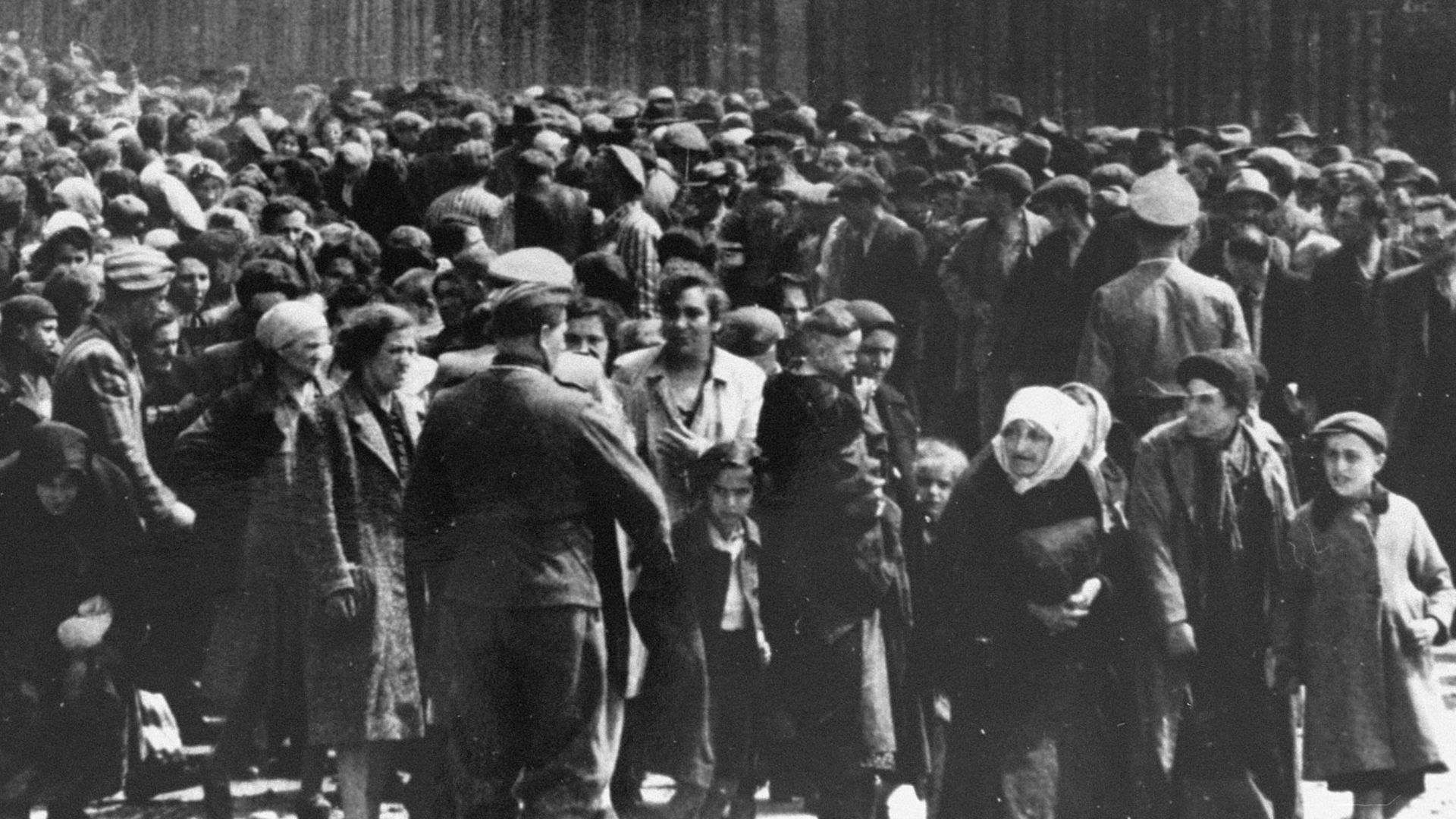 File:Selection on the ramp at Auschwitz-Birkenau, 1944 (Auschwitz Album) 2.jpg