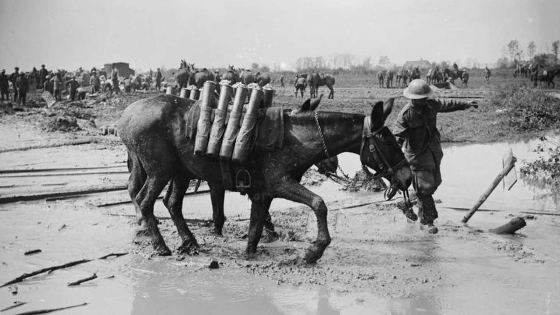 File:The Battle of Passchendaele, July-november 1917 Q5940.jpg