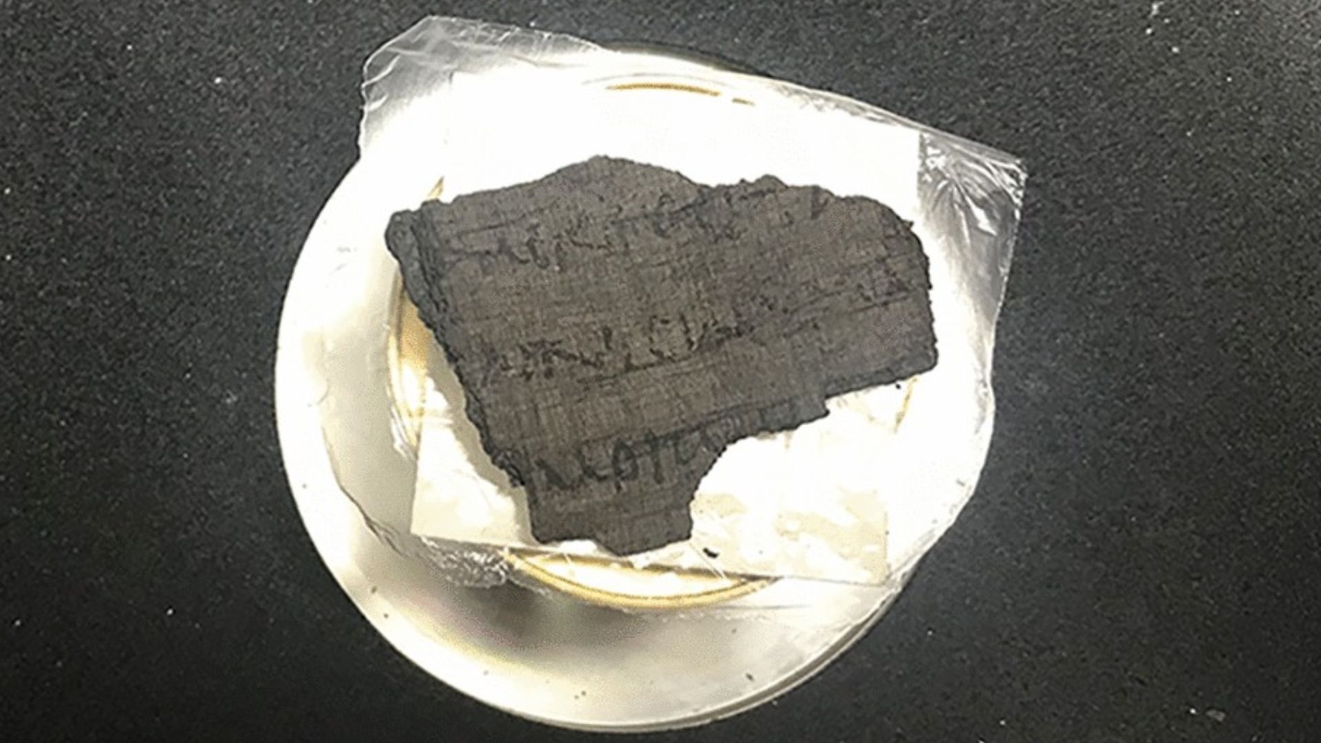 File:Herculaneum papyri.jpg