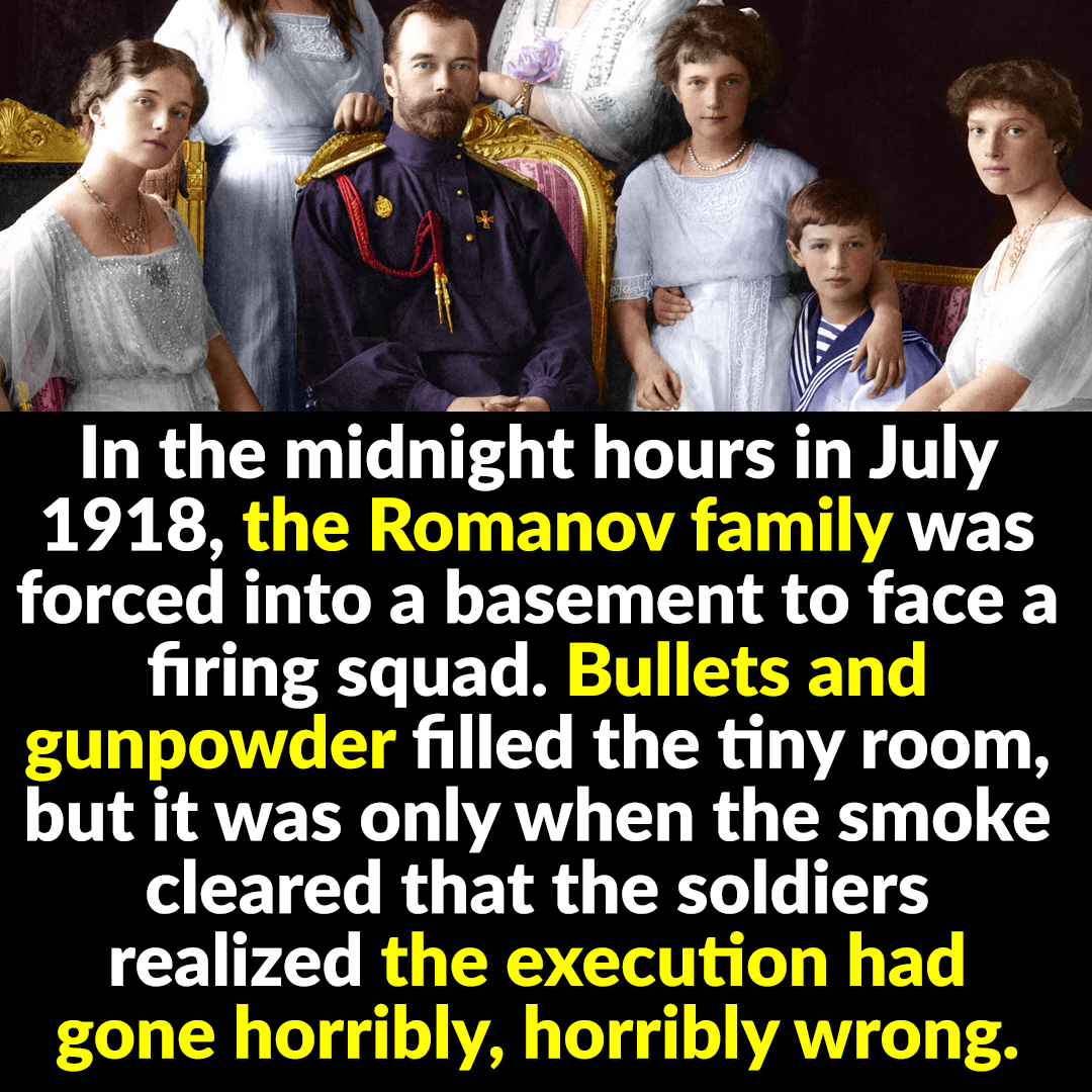 Romanov Ruler The Disturbing Downfall Of The Imperial Romanovs