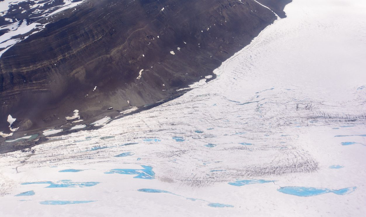 The George VI Ice Shelf Holds Significant Grounded Ice