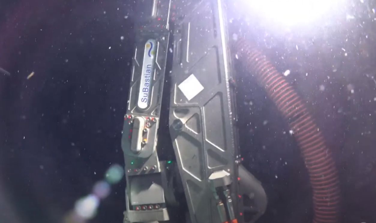 The Ecosystem Had Been Hidden For Possibly Centuries