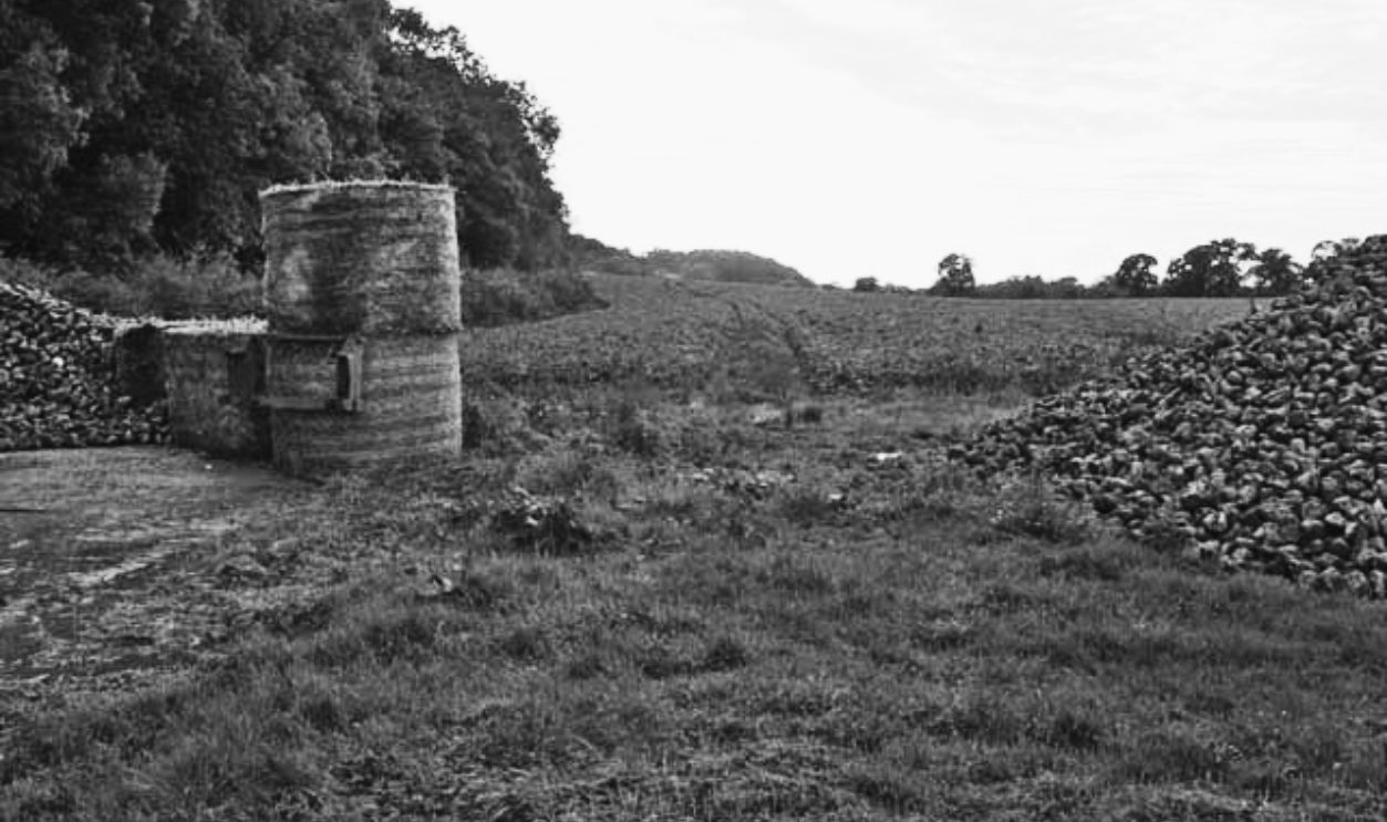 File:Stoke Wood near East Stoke - geograph.org.uk - 251268.jpg