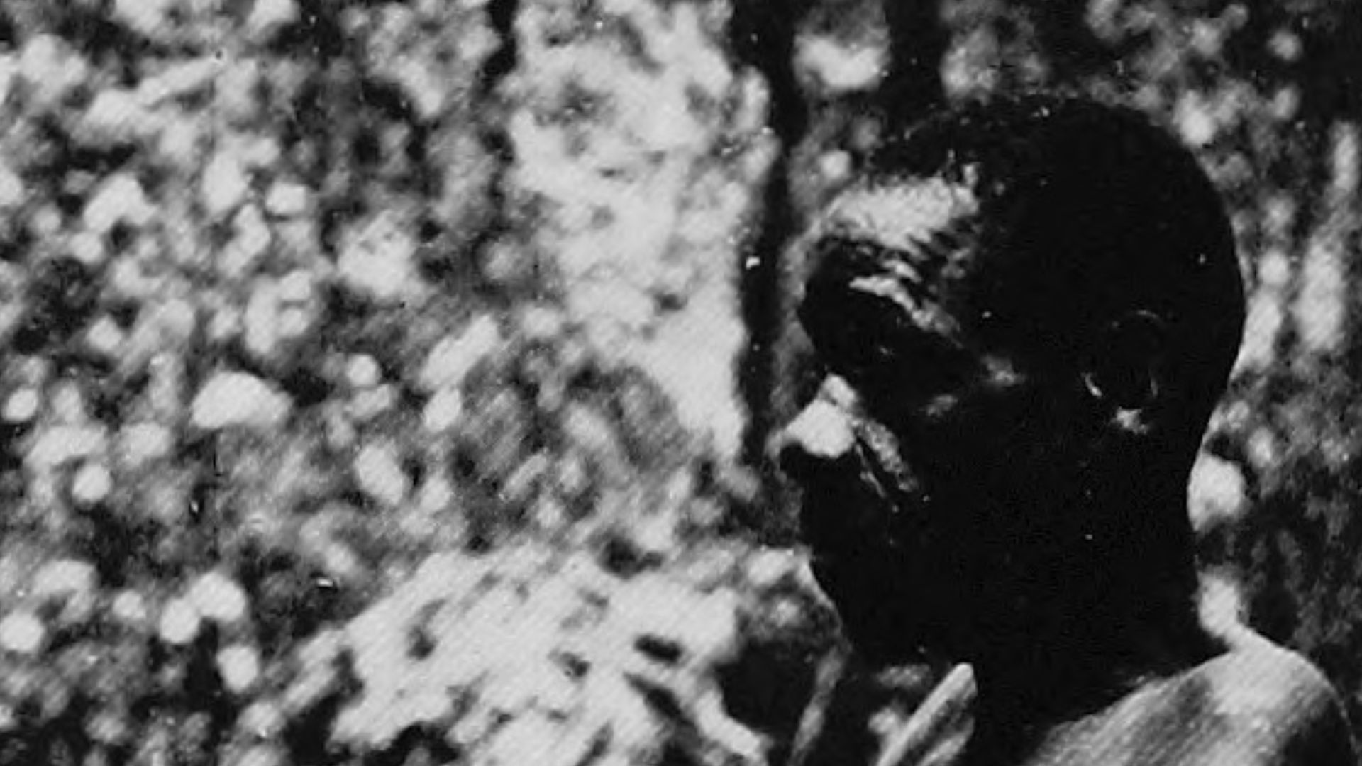 File:The wonderland of the Eastern Congo; the region of the snow-crowned volcanoes, the pygmies, the giant gorilla, and the okapi (1922) (20774245425).jpg