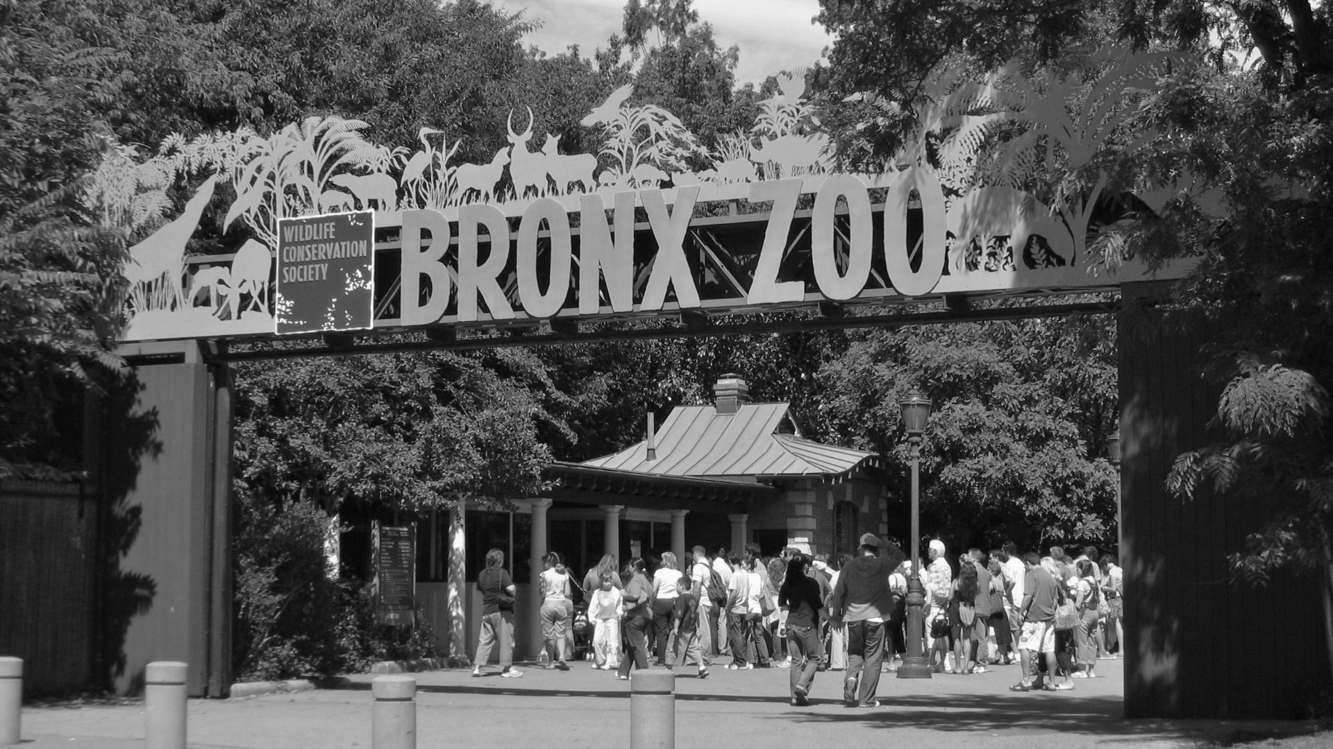 File:Bronx Zoo 001.jpg
