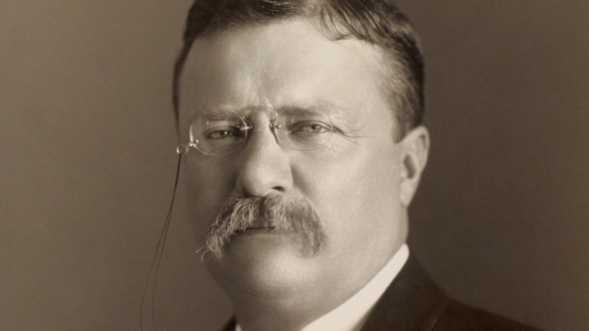 File:Theodore Roosevelt by the Pach Bros.jpg