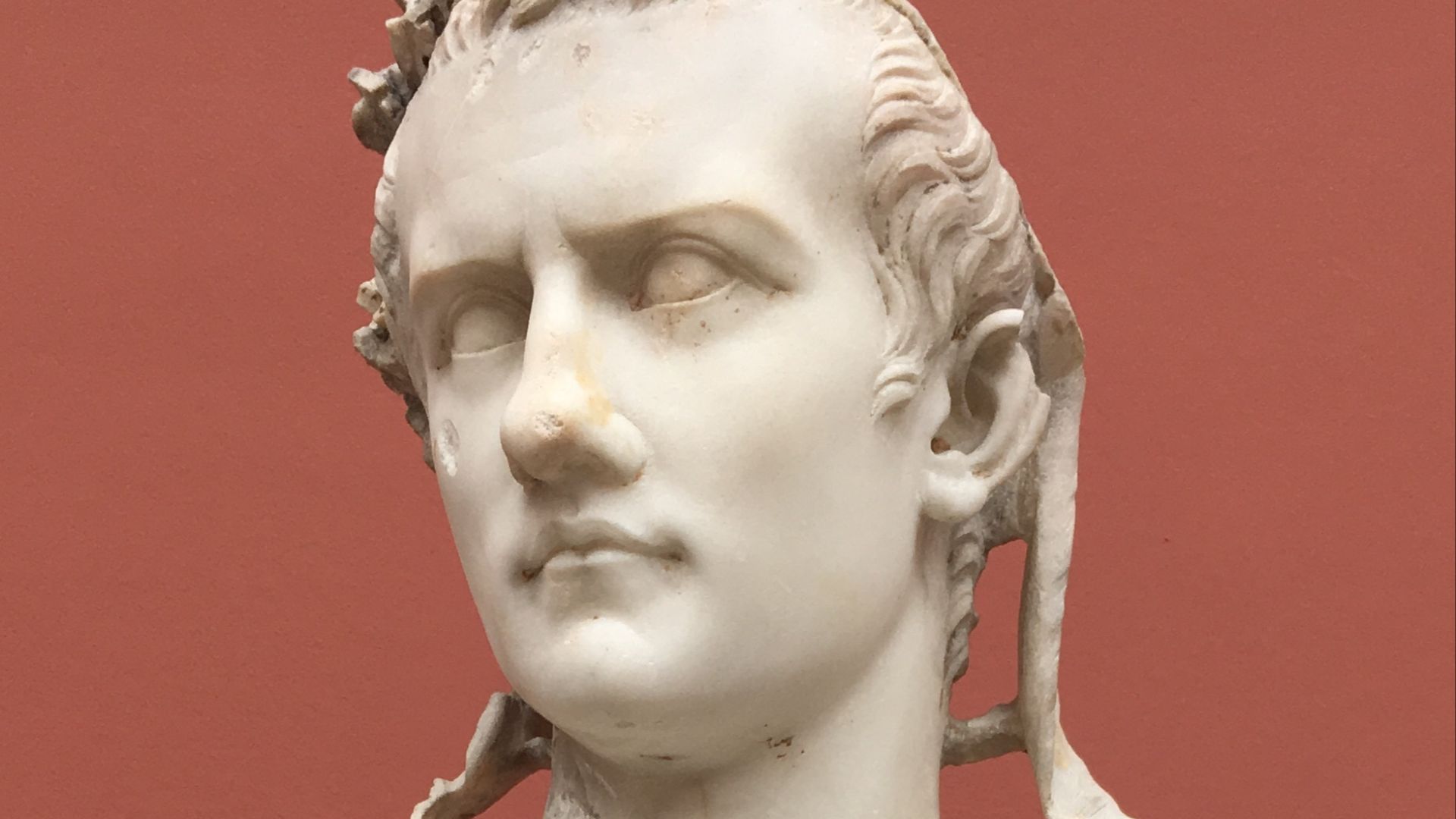 File:Cuirass Bust of Caligula (cropped) (cropped).jpg