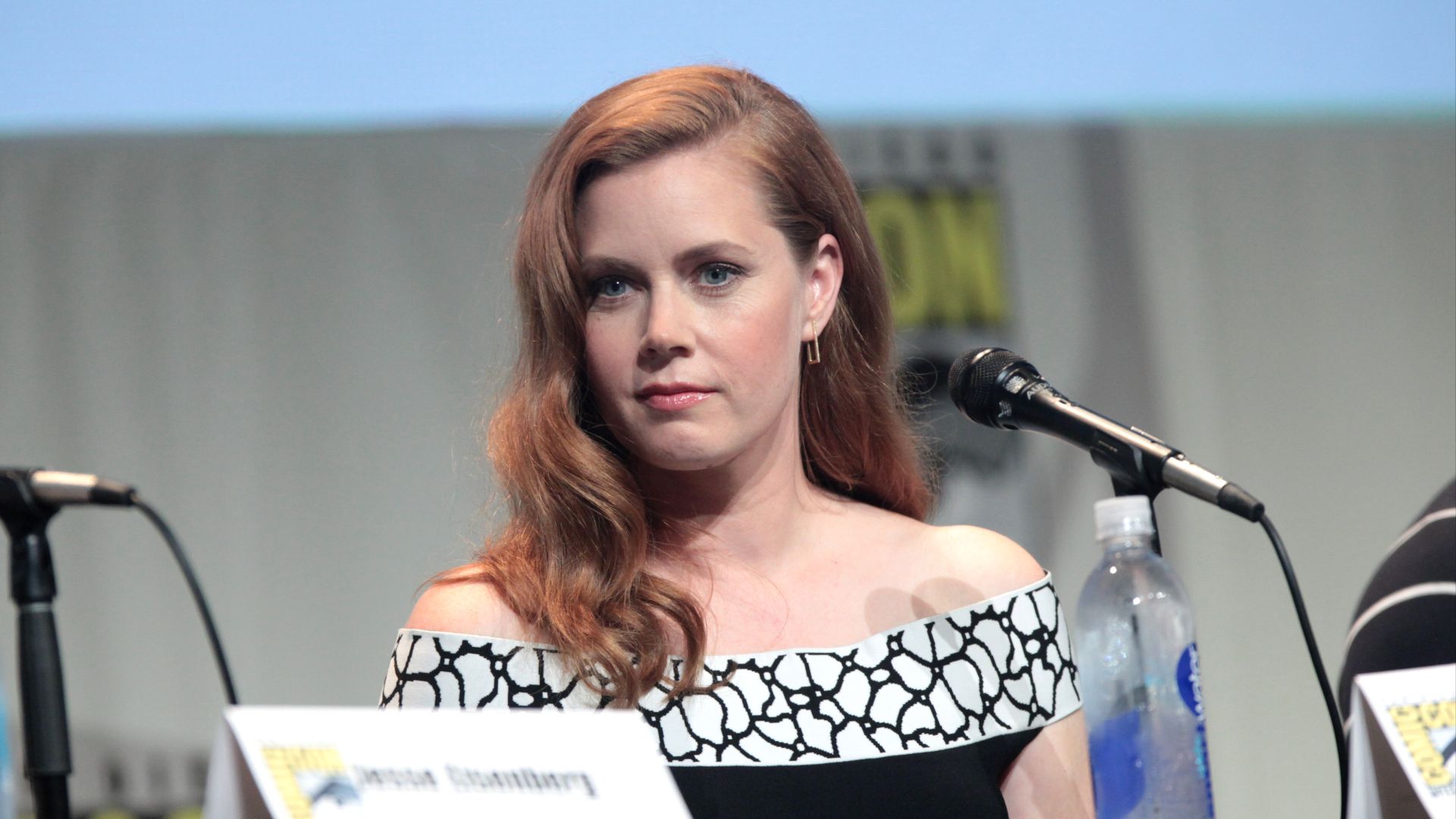 File:SDCC 2015 - Amy Adams (19685961326).jpg