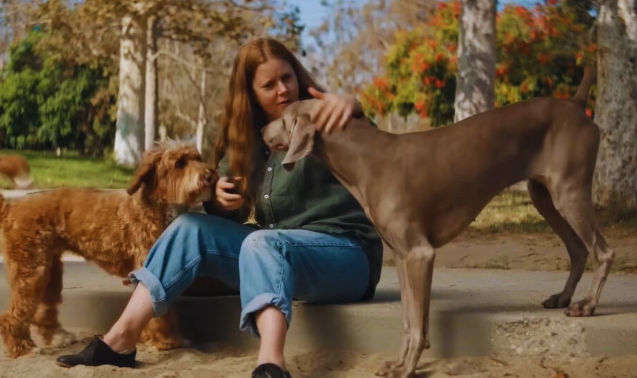 Nightbitch - Official Trailer (2024) Amy Adams