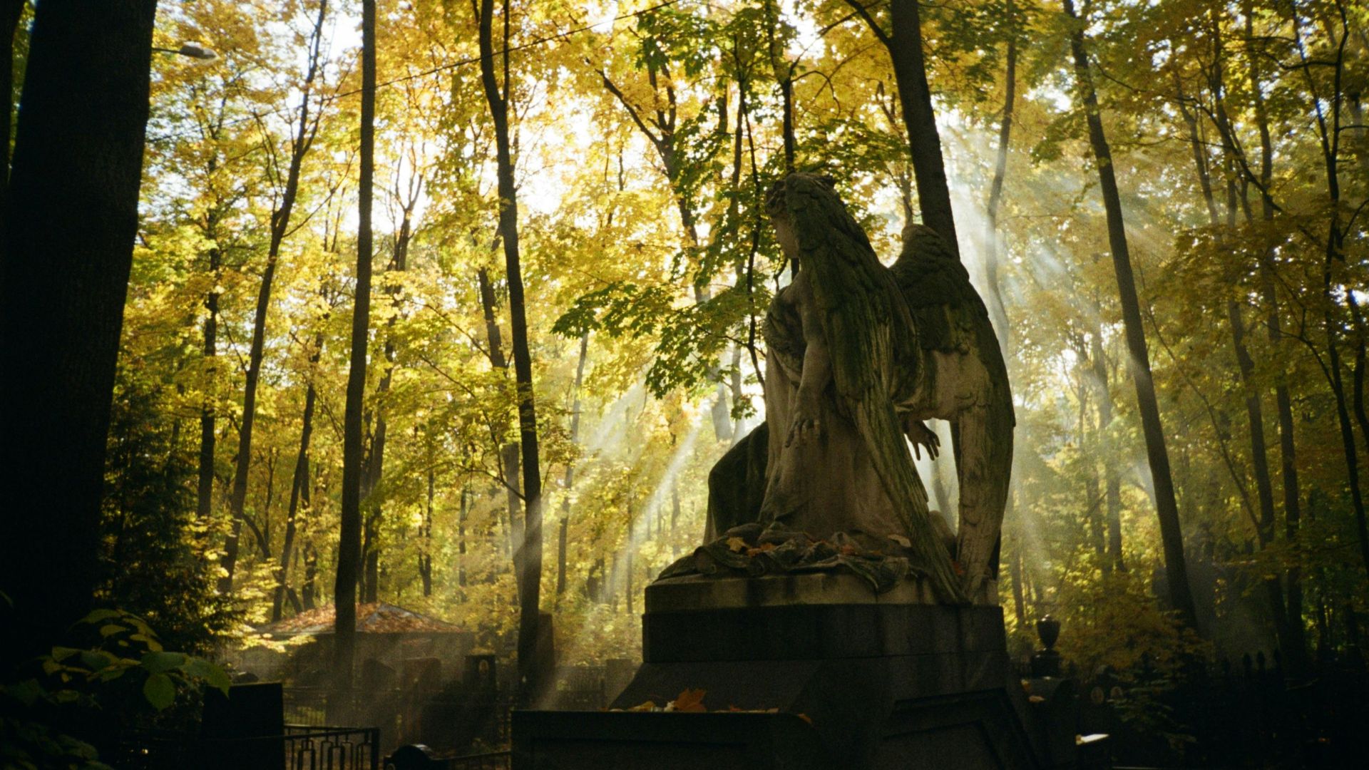 Тямаев Миша