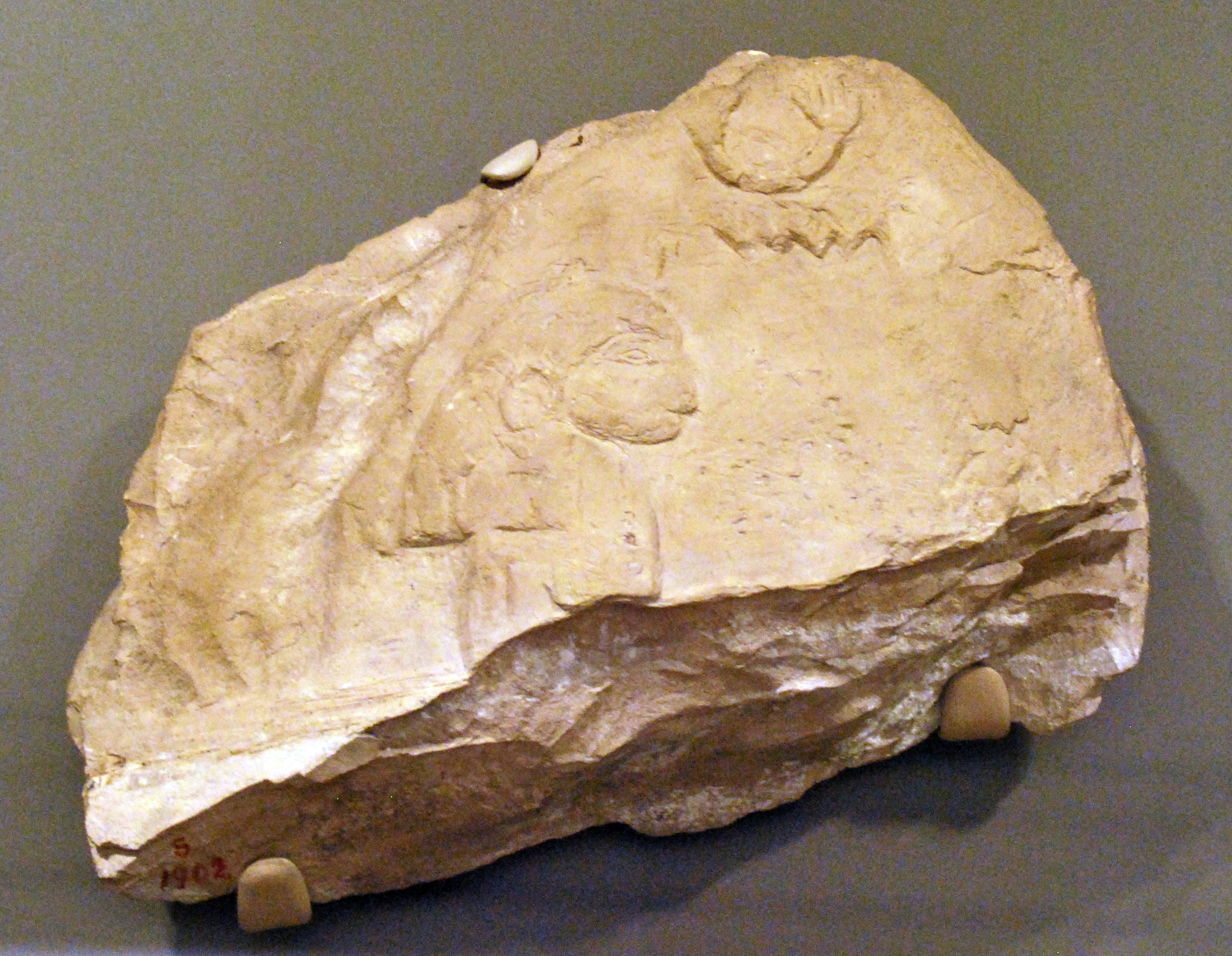 File:Fragment of a predynastic tomb stela from a subsidiary tomb at Abydos.jpg