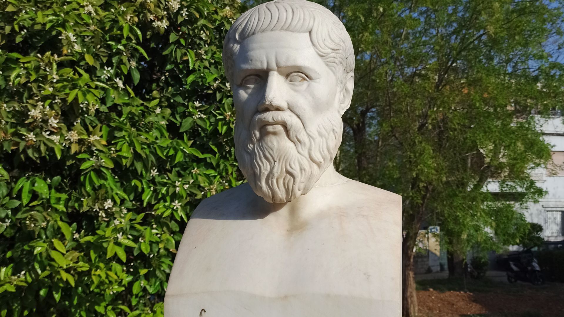 File:Head of plato at Platos Academy.jpg