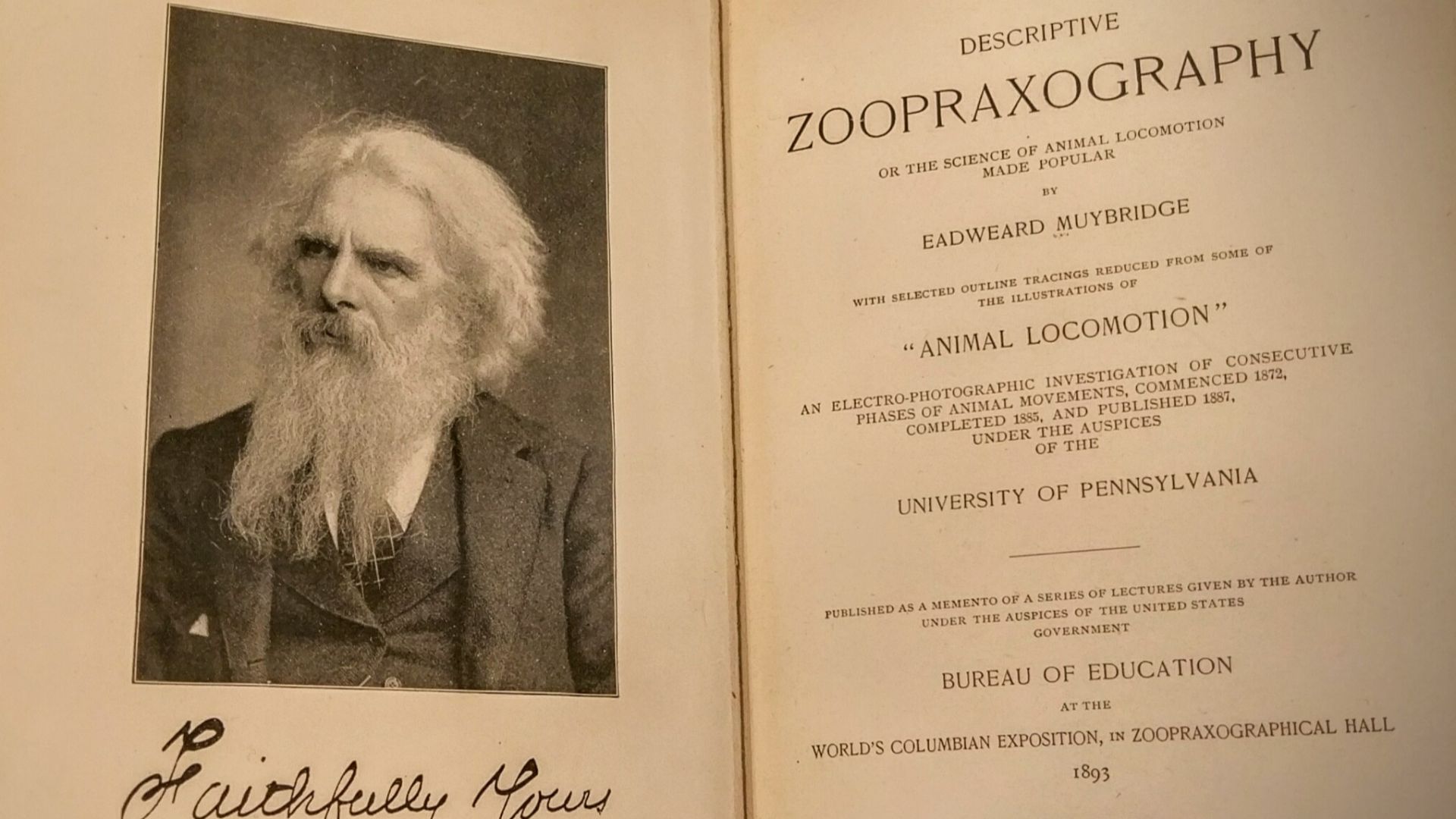 File:Descriptive Zoopraxography.jpg