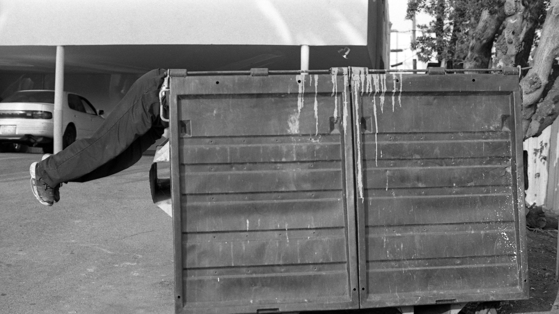 File:LA dumpster dive.jpg