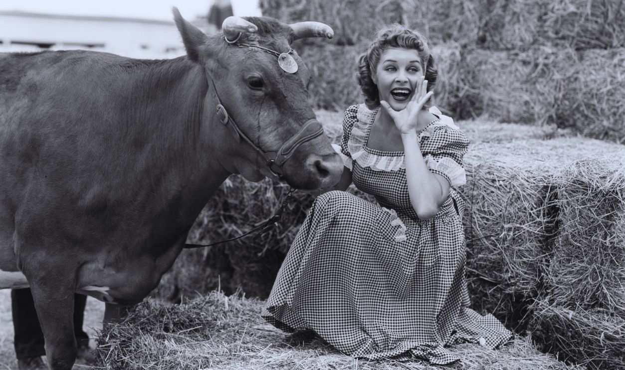 Gettyimages - 1932245468, Martha Raye in 'The Farmer’s Daughter' Publicity portrait of actor Martha Raye beside a cow and on a stack of hay, as 'Patience Bingham' in the film 'The Farmer’s Daughter', 1940, United States.