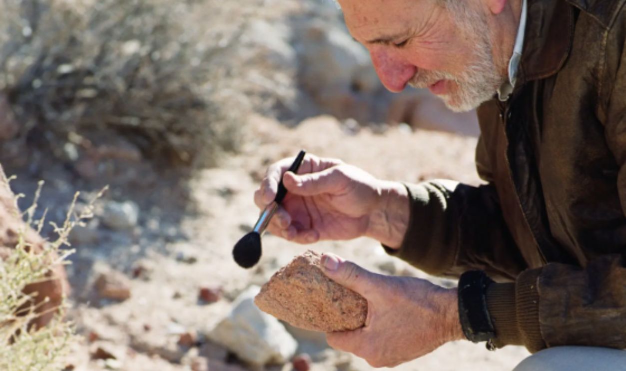  Male archaeologist dusting rock