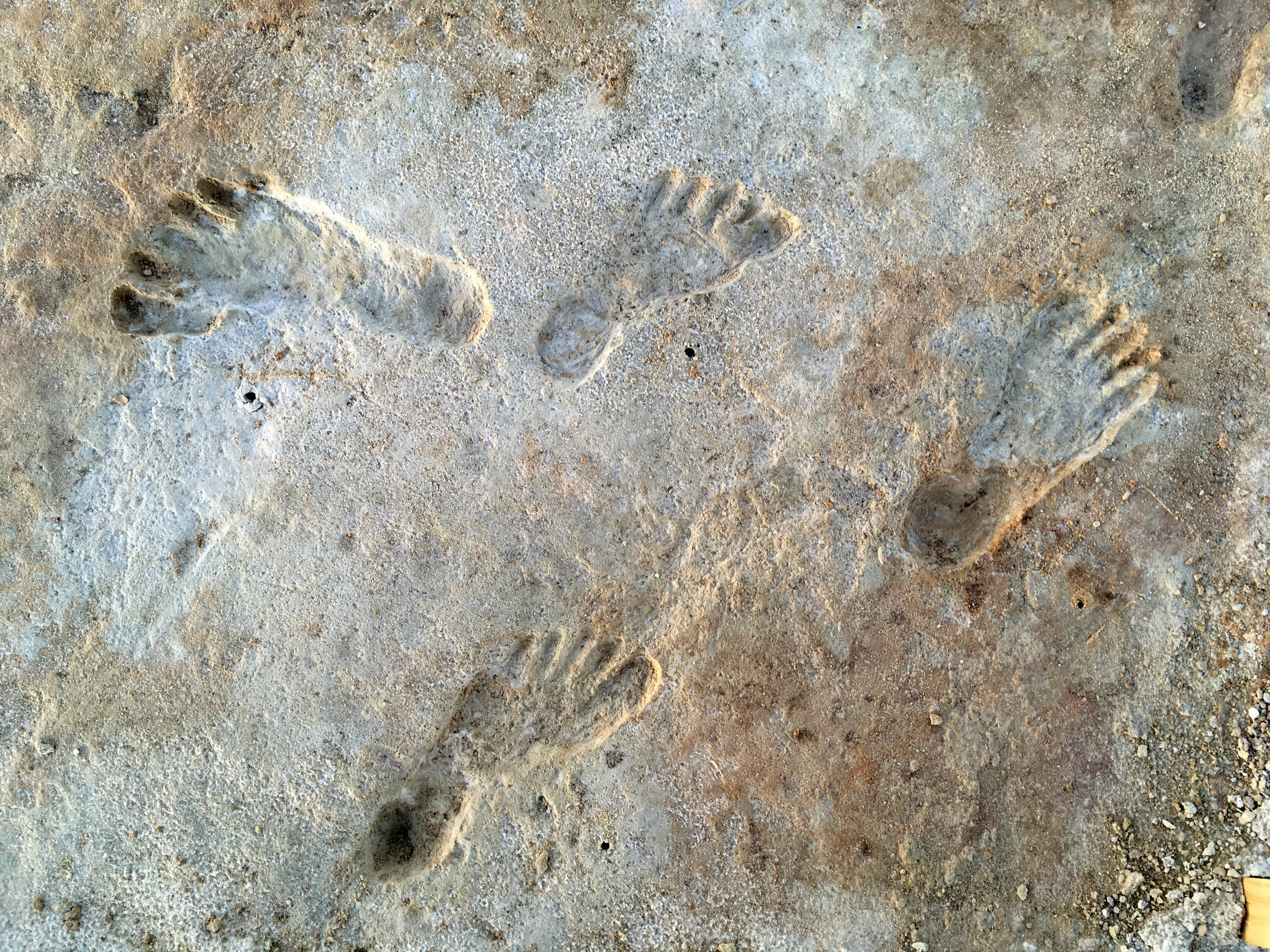 File:Human fossil tracks at White Sands New Mexico.jpg