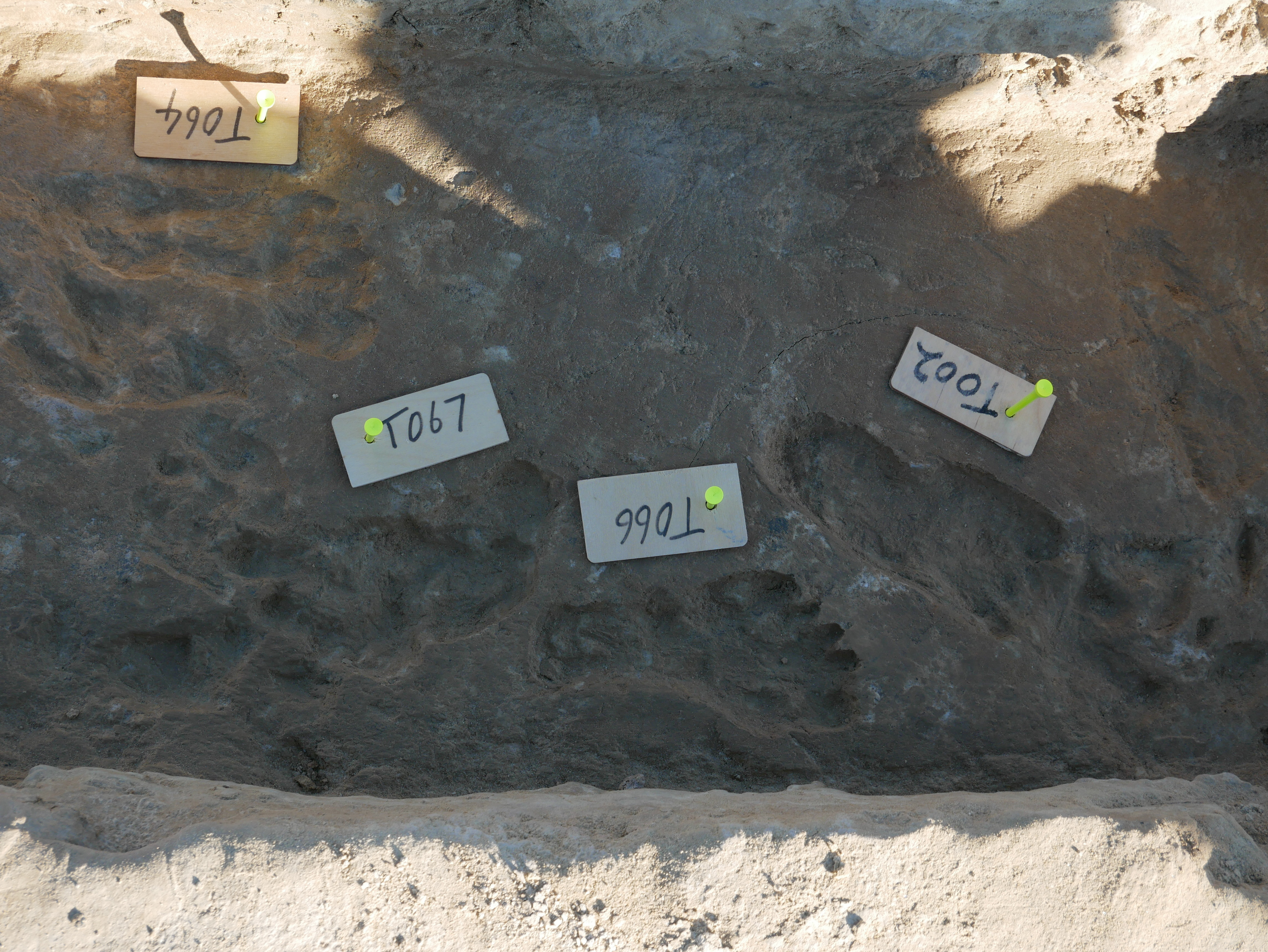 File:Footprints at the Trench (5f00efce-524f-4981-9286-8d2a83af5fa8).JPG