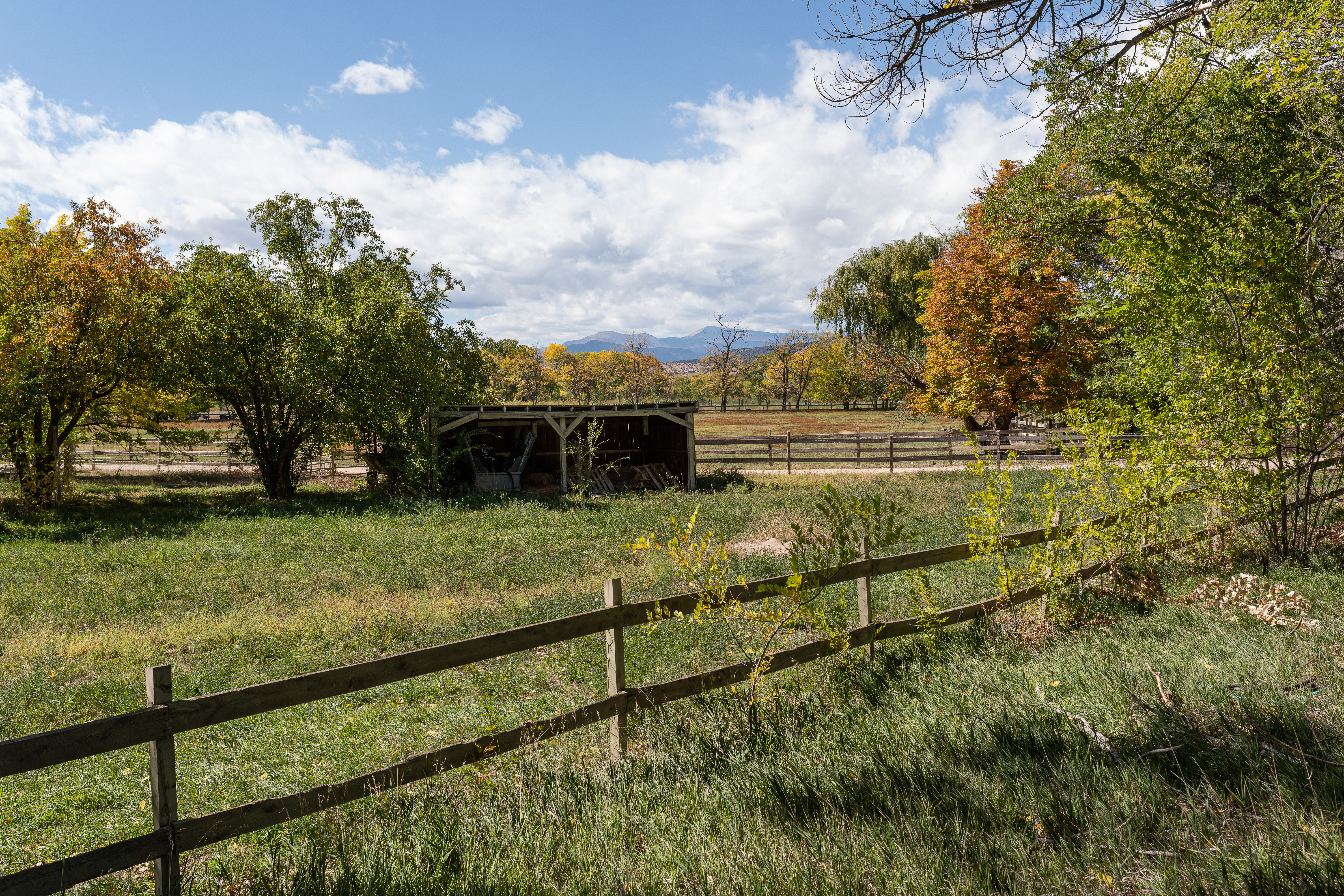 File:Looking out over the pasture at Los Luceros ranch complex near Alcalde, New Mexico.jpg