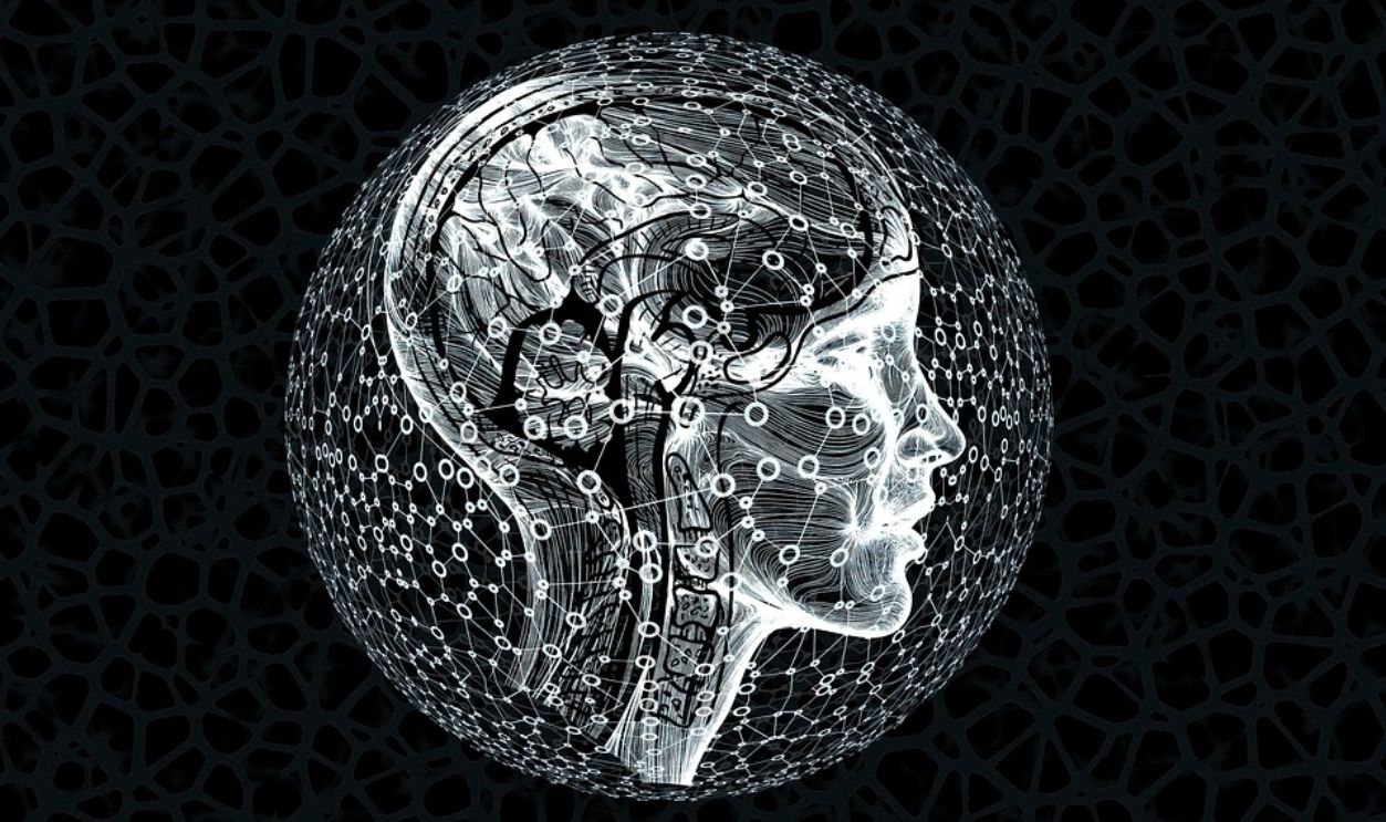 SIMULATION OF THE MIND AND MATTER