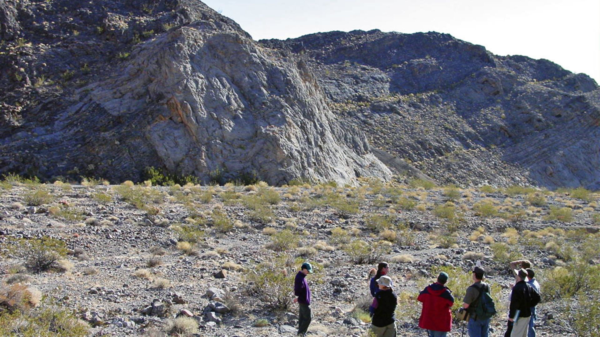 File:Bioherm (Tin Mountain Limestone, Lower Mississippian; Funeral Mountains, Inyo County, California, USA) 2 (45437683135).jpg