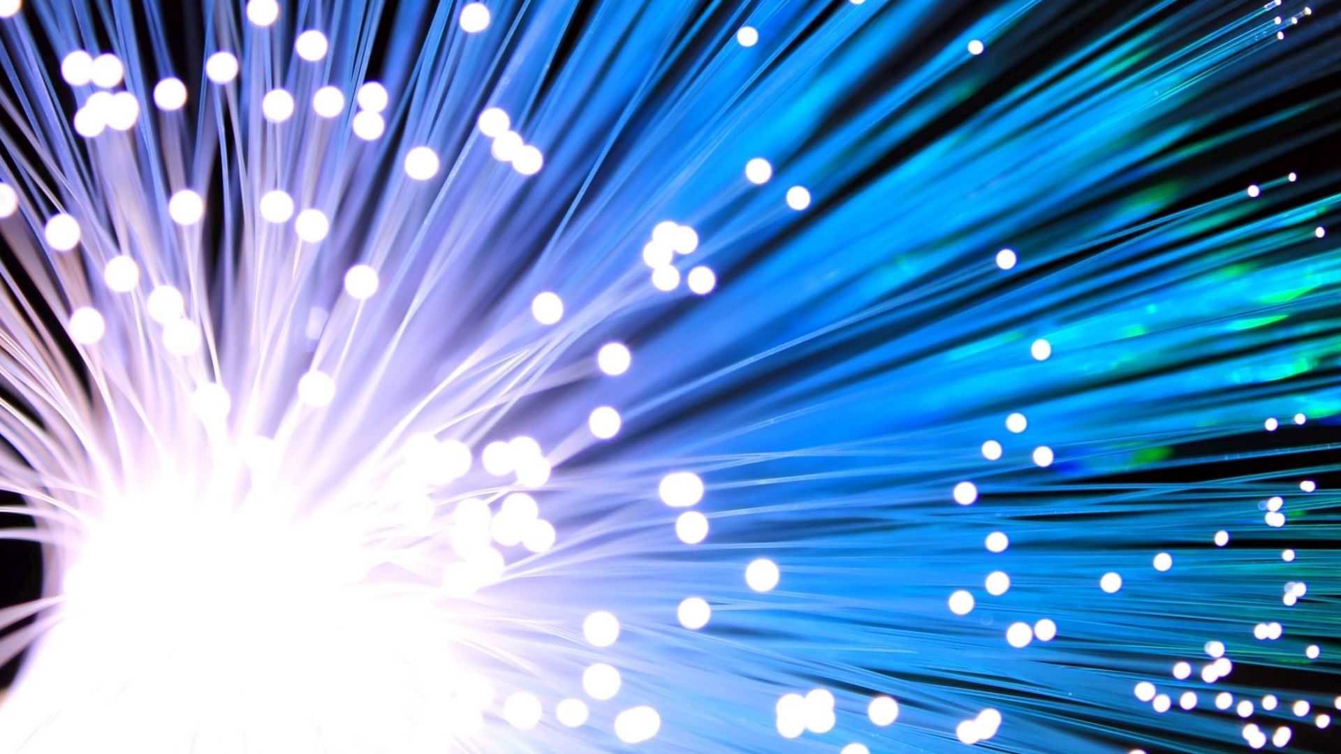 File:Fiber Optical Cable.jpg