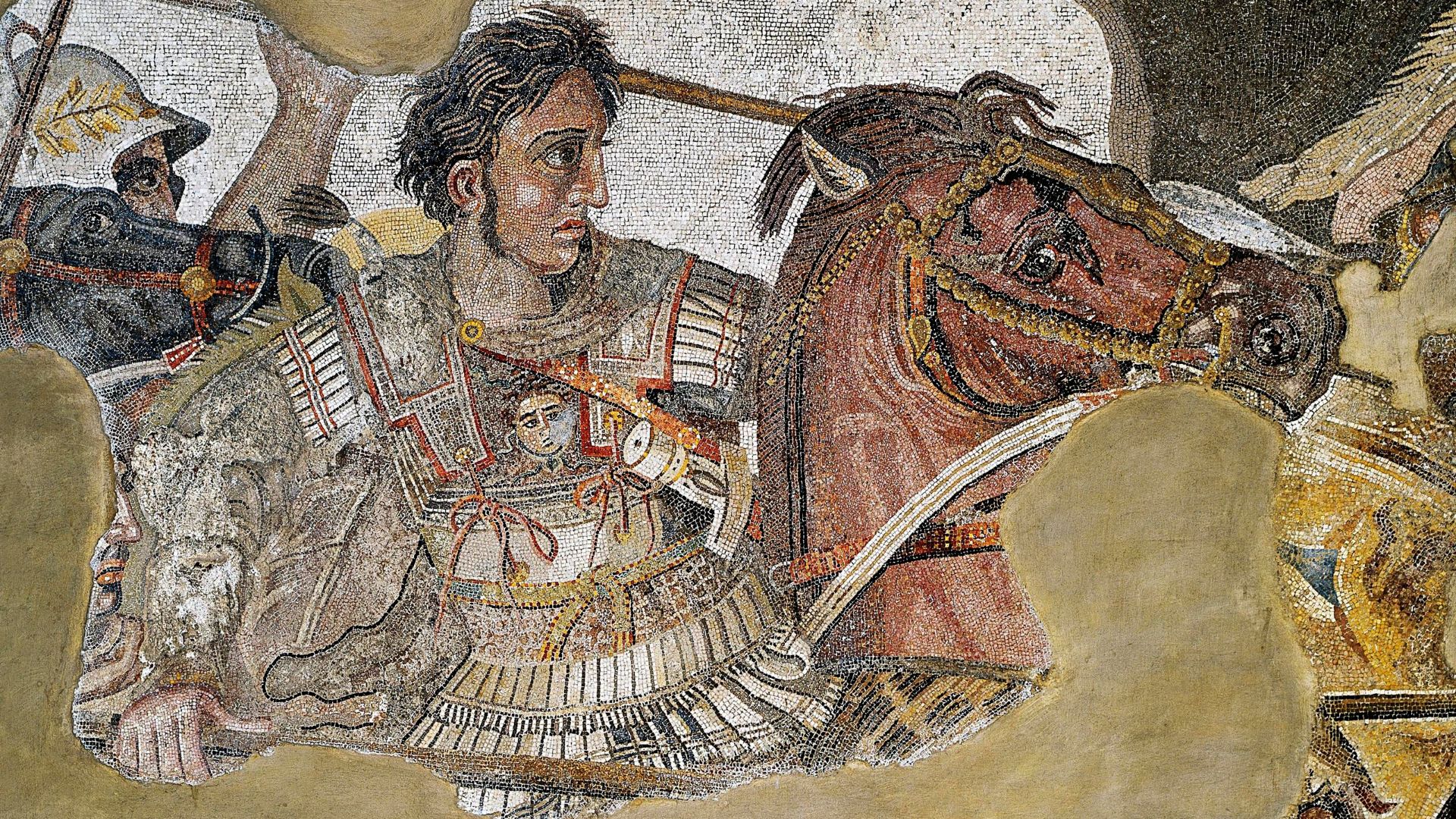 File:Alexander the Great mosaic.jpg