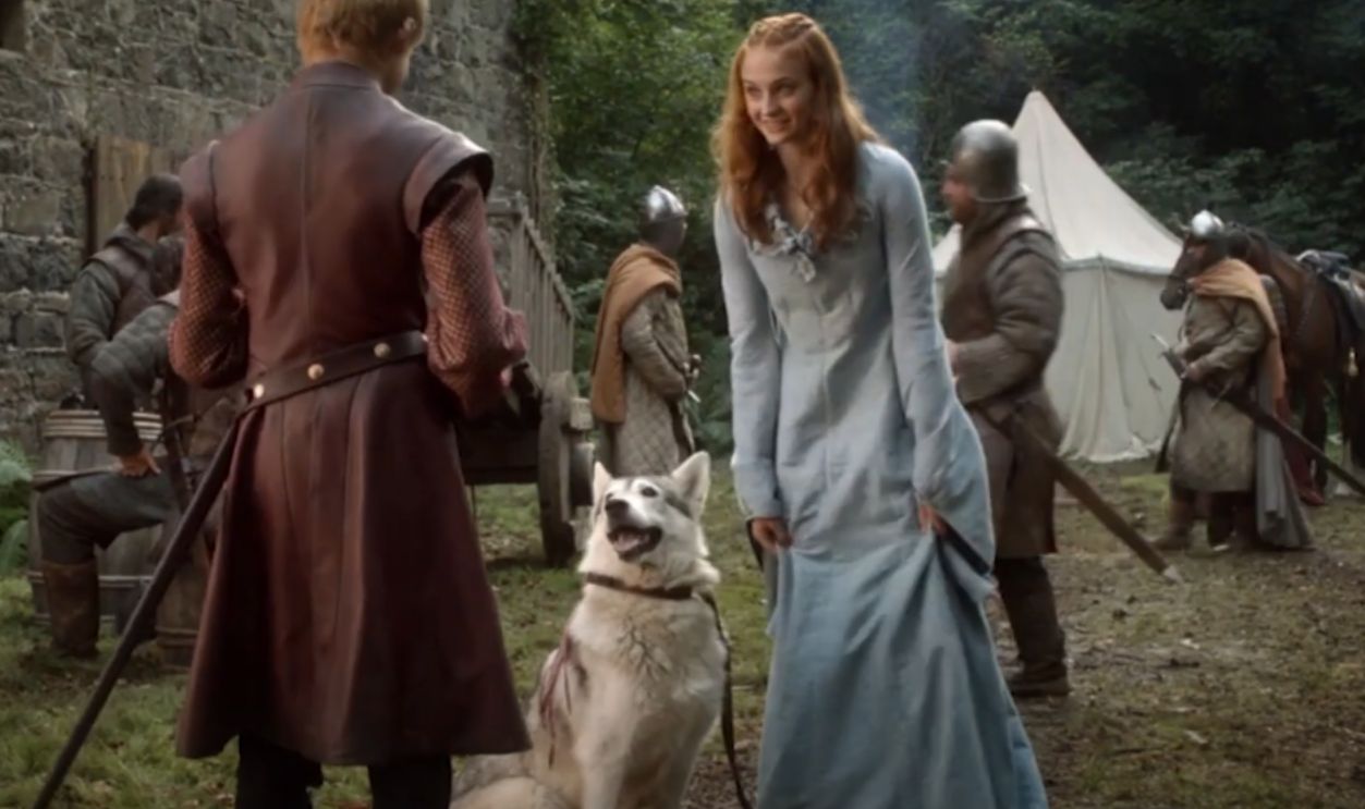 15. Life Imitates Bark