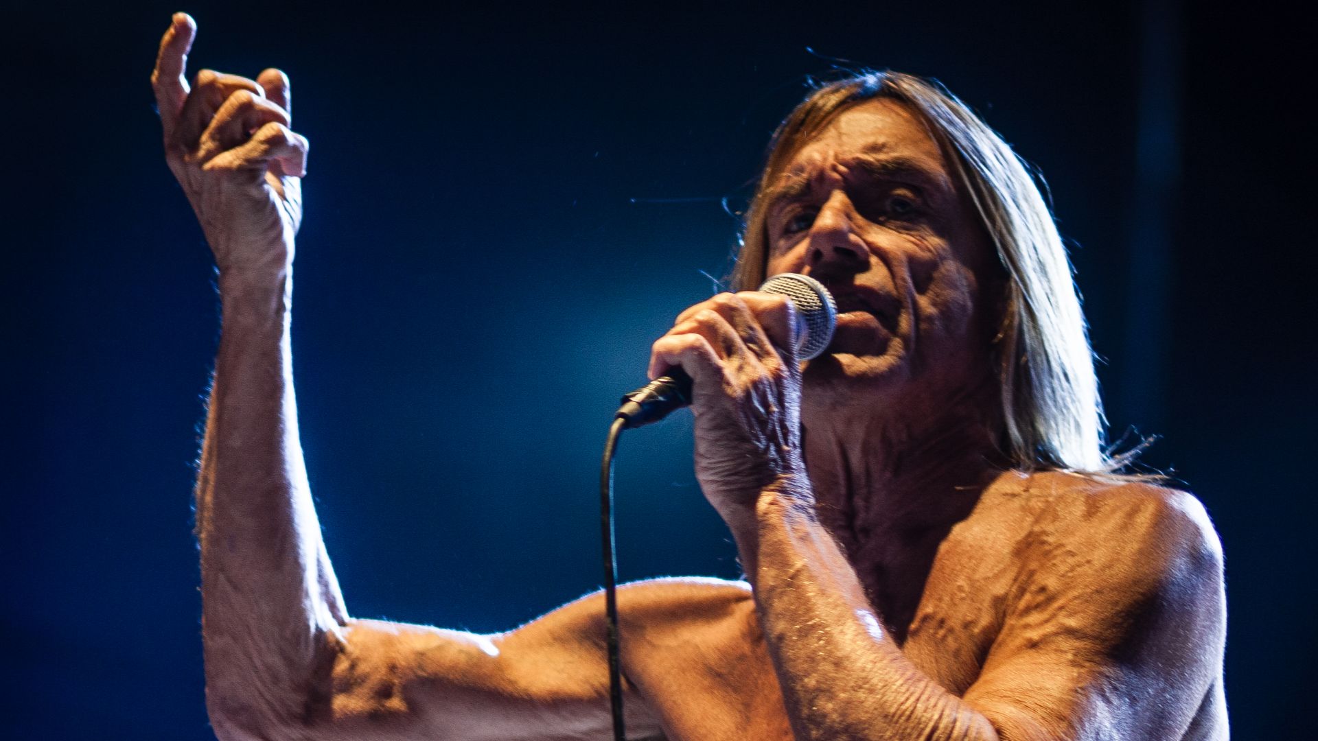 File:Iggy & The Stooges @ Bsf 2012 (7855862360).jpg