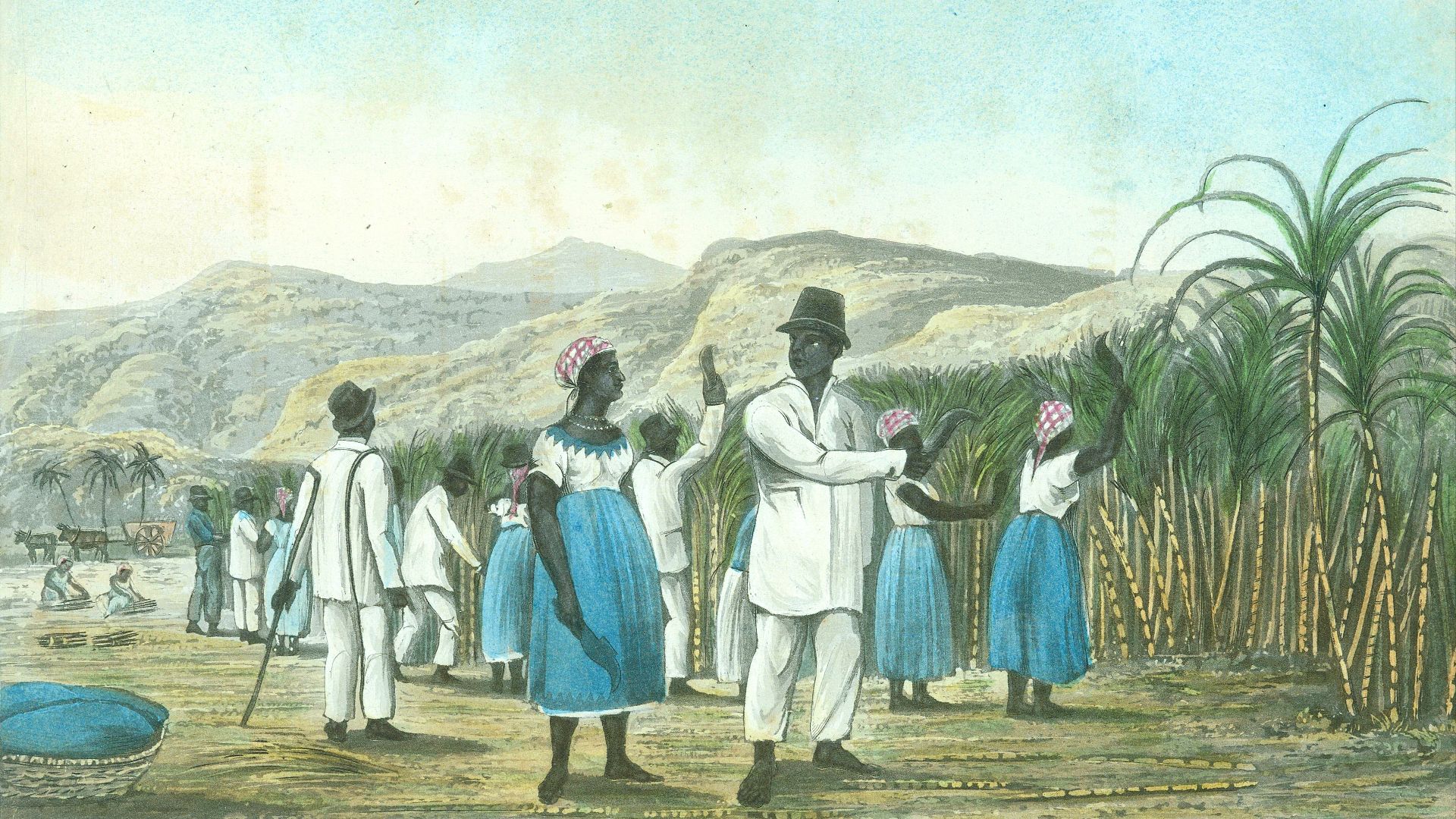 File:Jamaica Negroes Cutting Canes in their Working Dresses, 1825.jpg