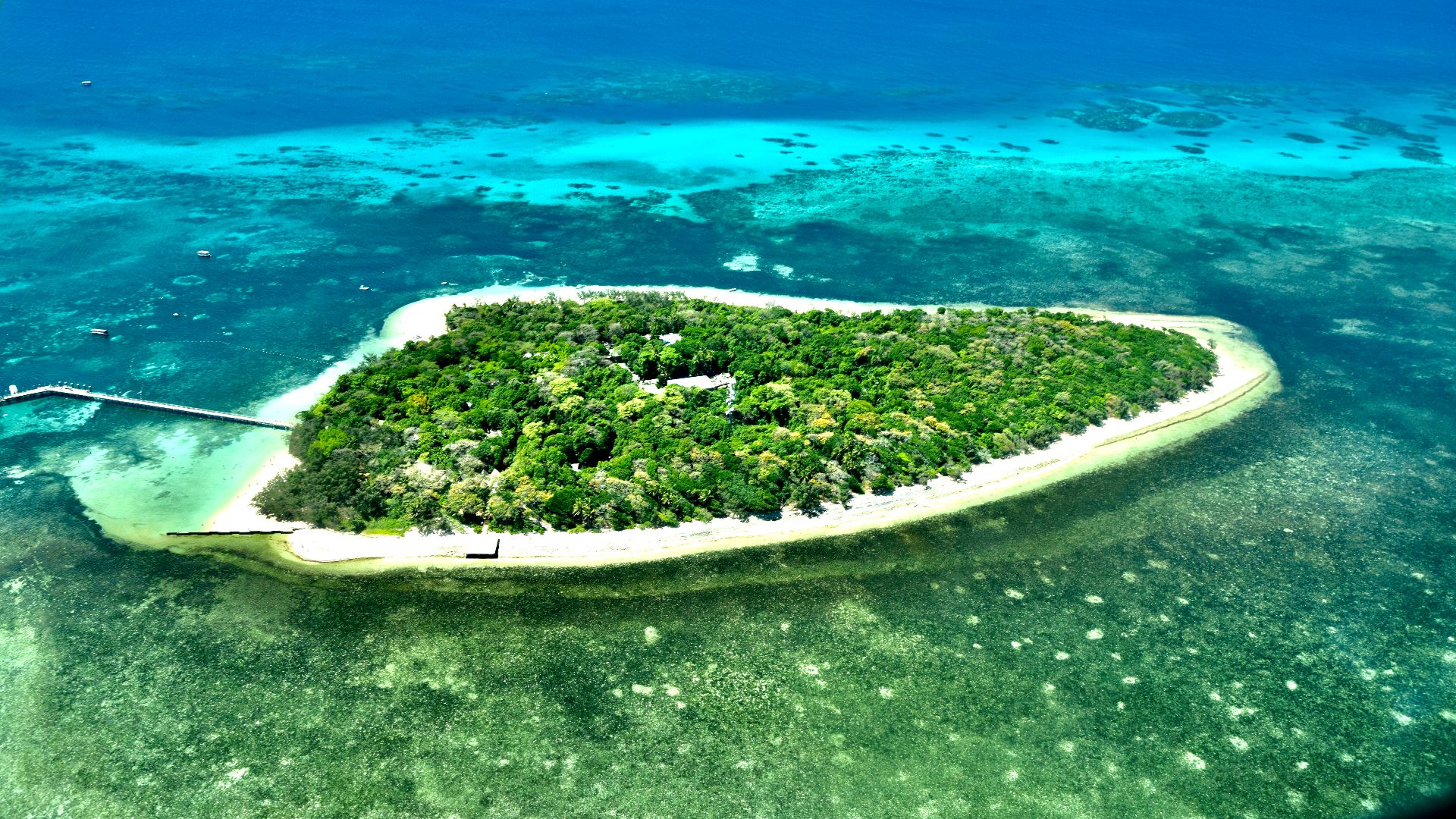 File:Great Barrier Reef off Cairns coast (Ank Kumar) 07.jpg